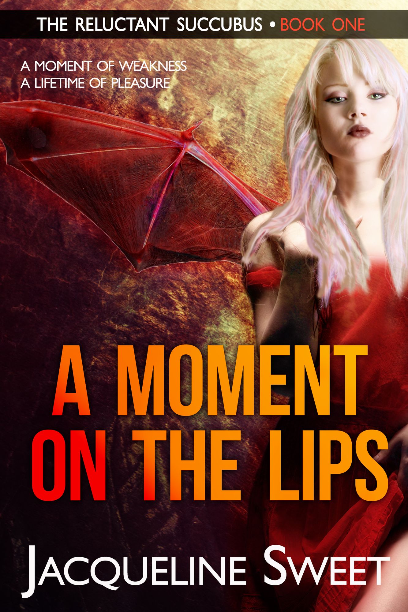 A Moment on the Lips: The Reluctant Succubus - Book One