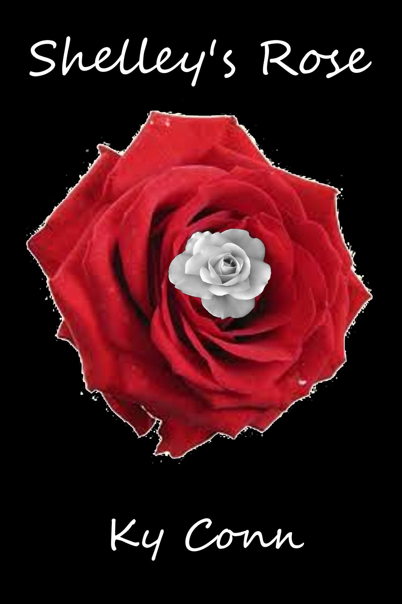 Shelley's Rose