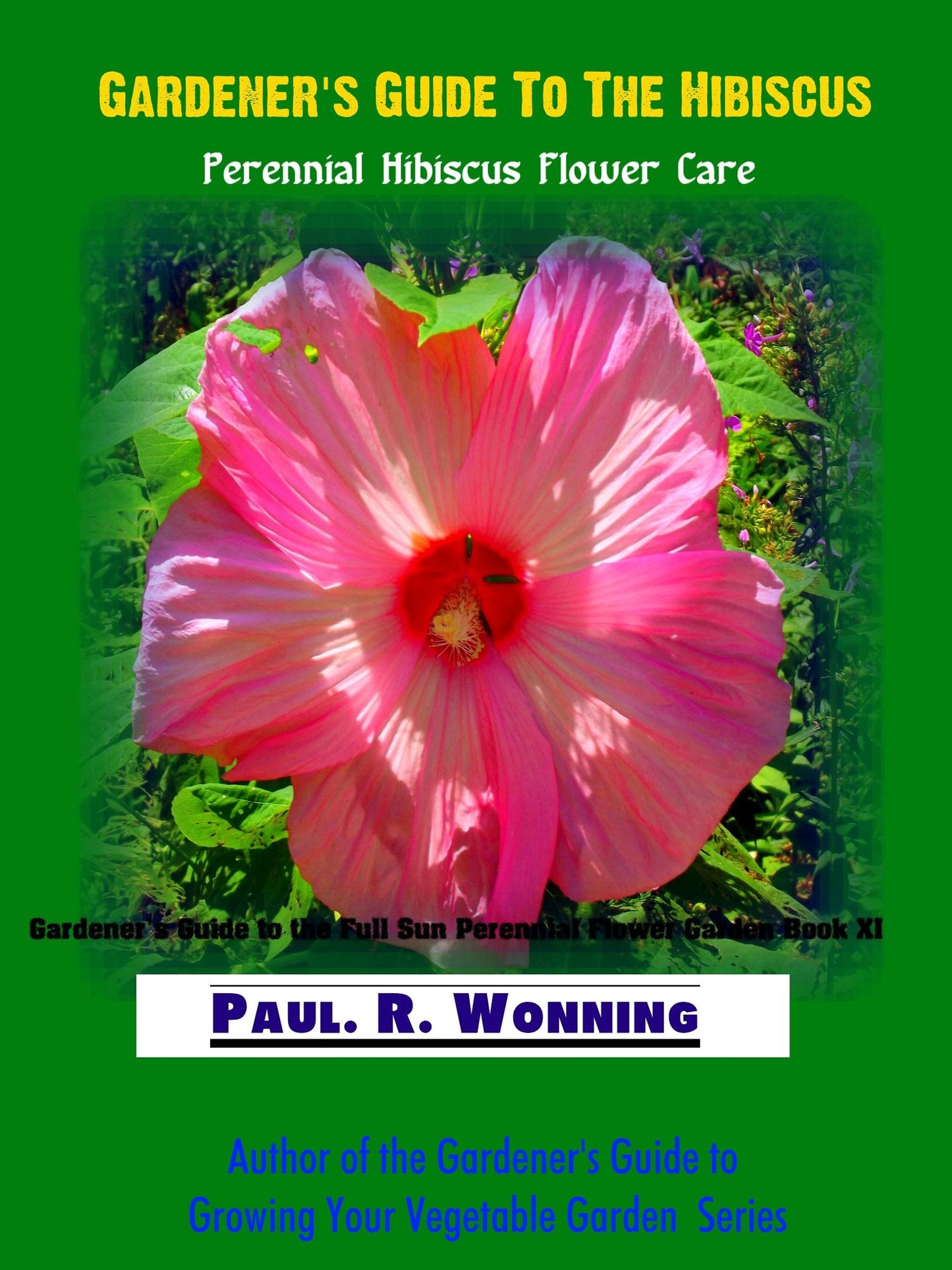 Abe's Guide To The Hibiscus