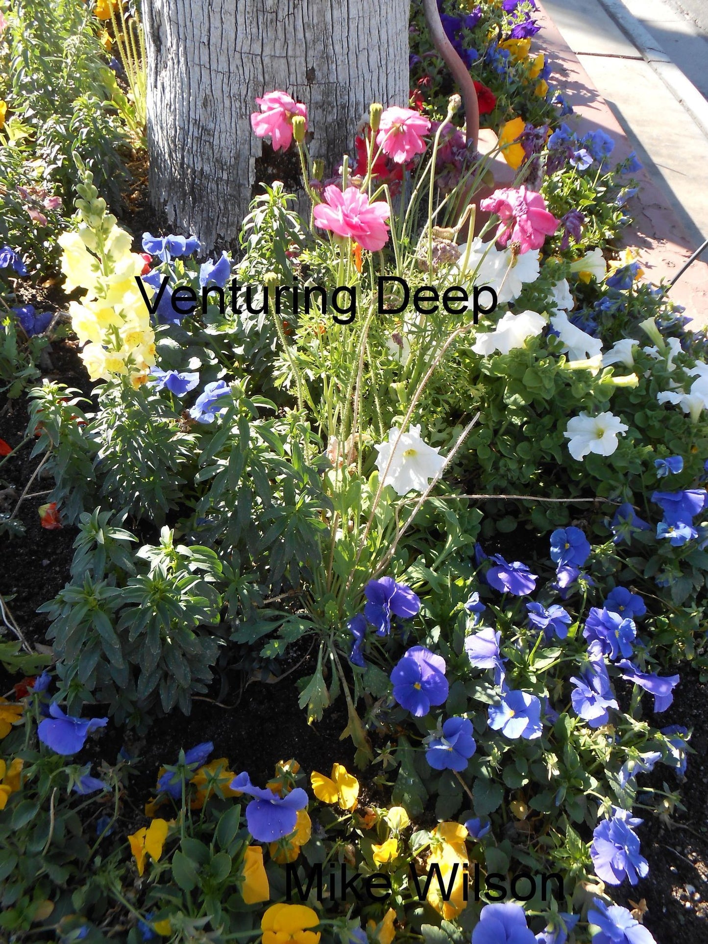 Venturing Deep: Four Tales