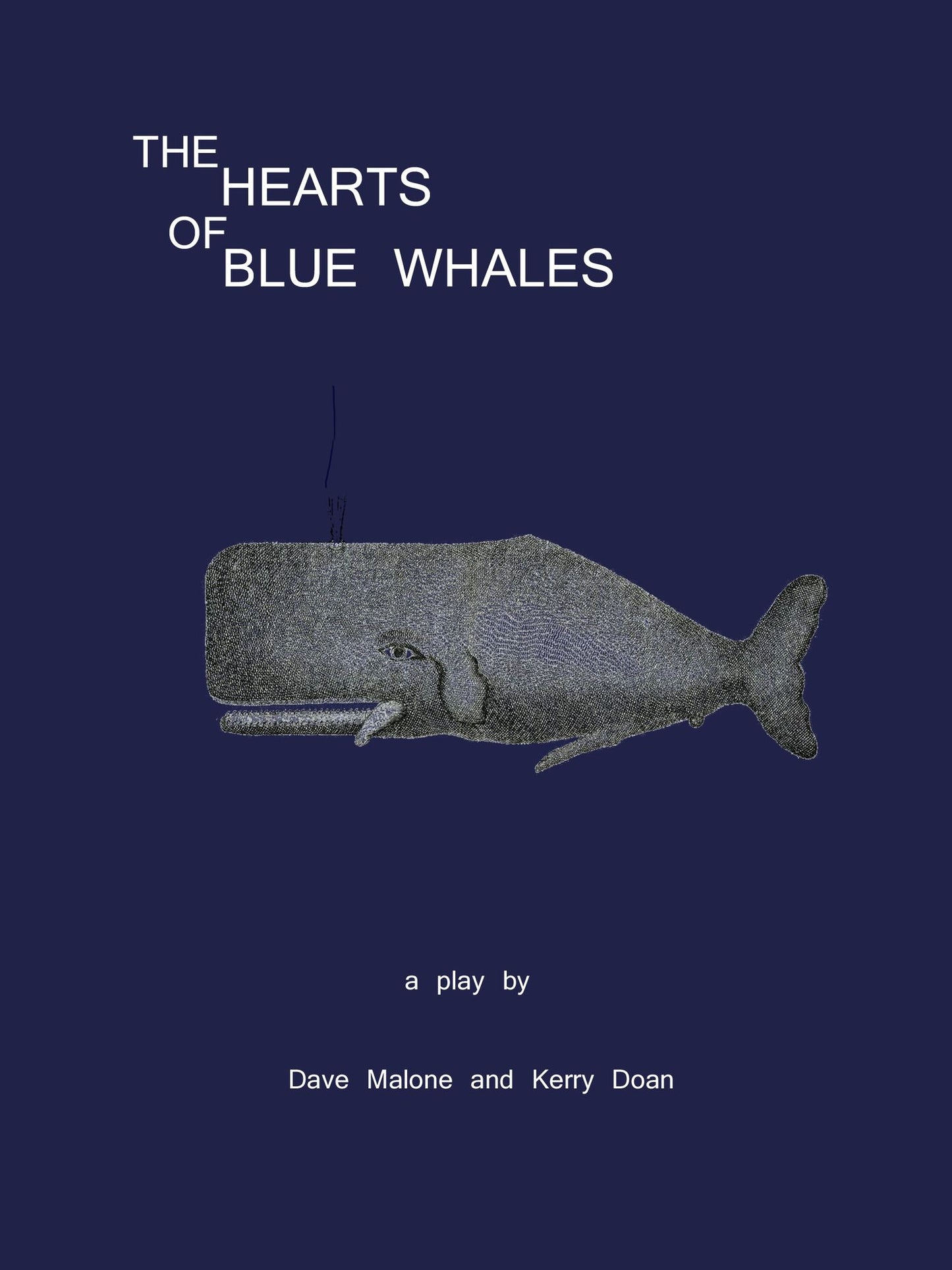 The Hearts of Blue Whales