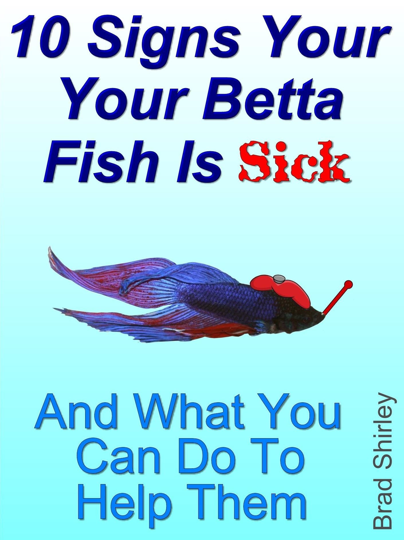 10 Signs Your Betta Fish Is Sick