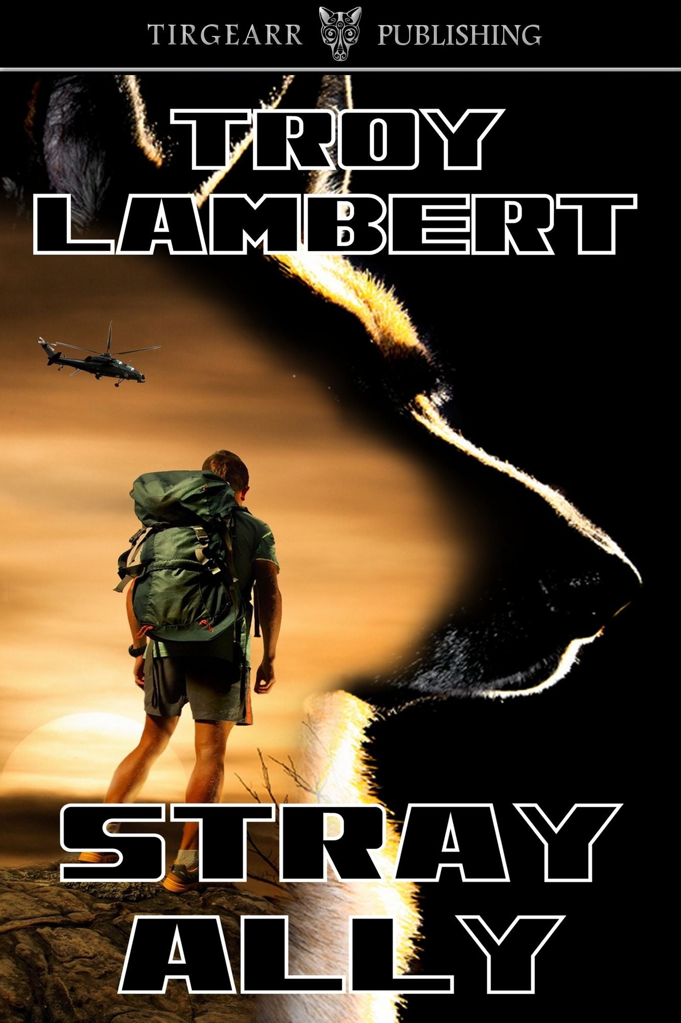 Stray Ally