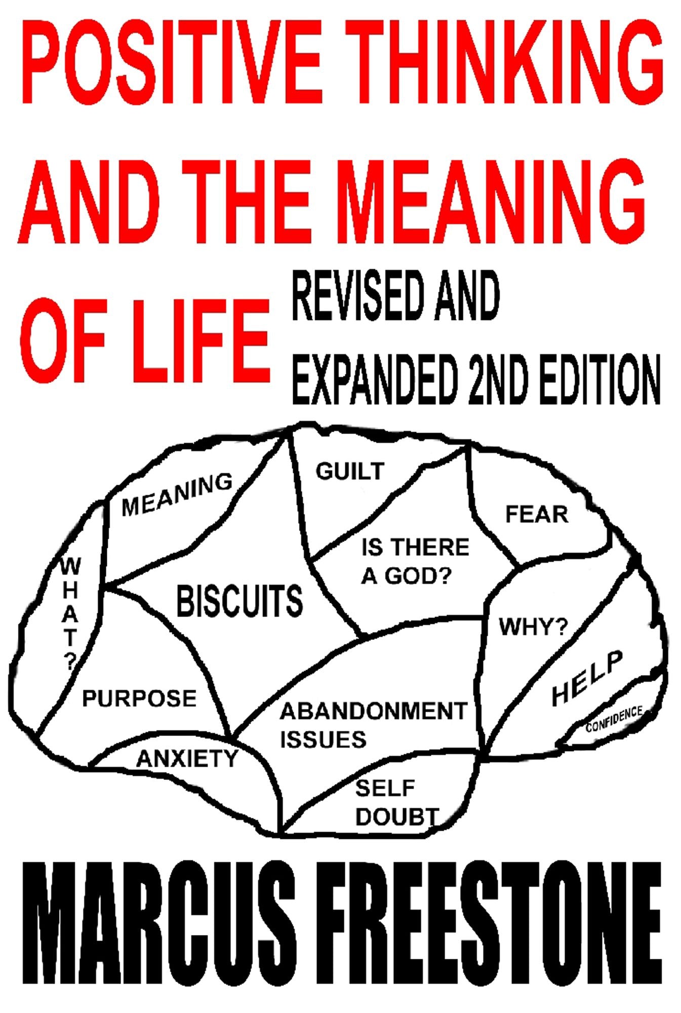 Positive Thinking And The Meaning Of Life (Extended)