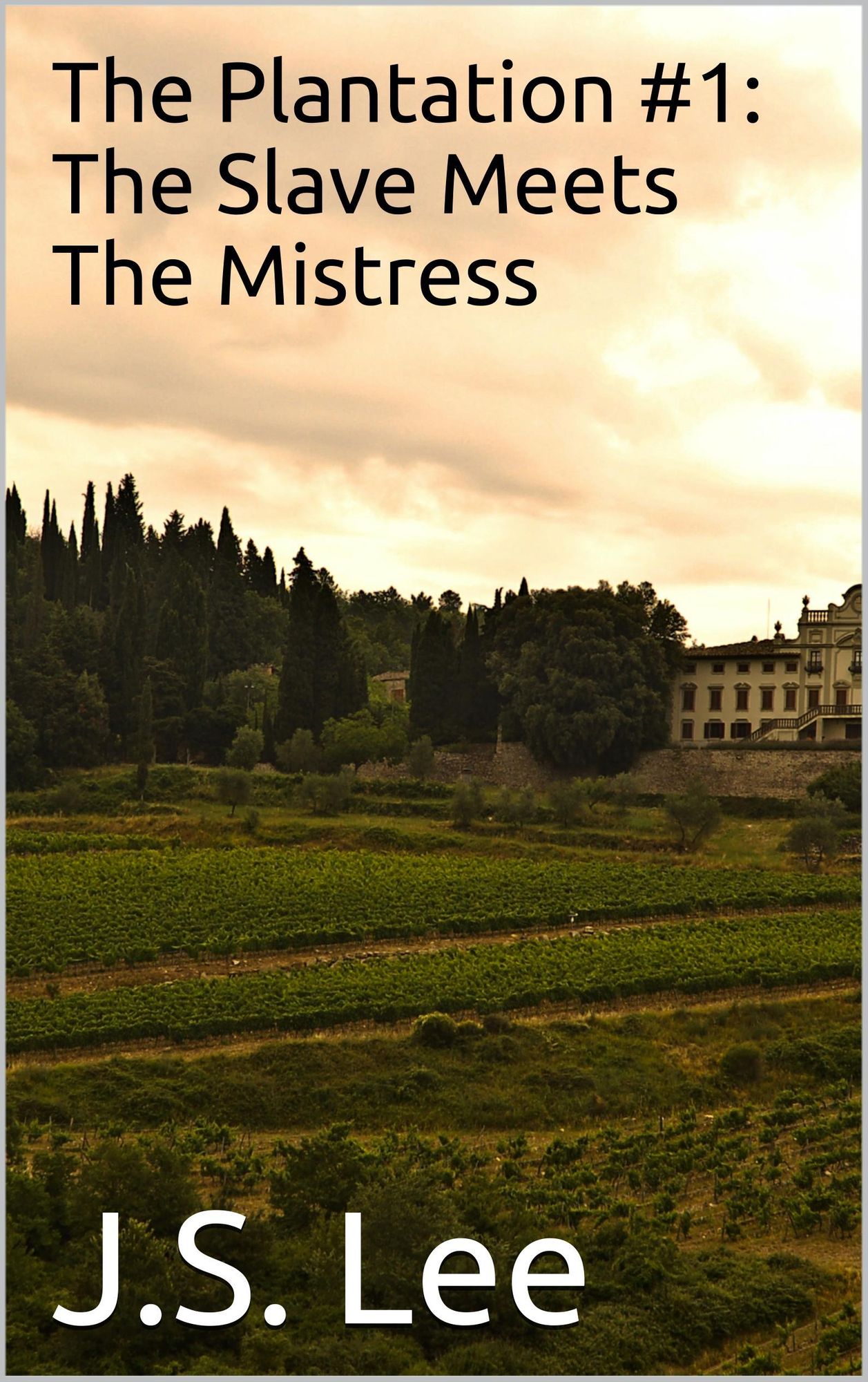 The Plantation #1: The Slave Meets The Mistress