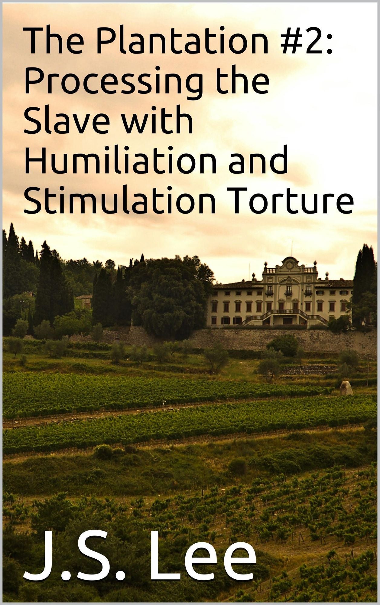 The Plantation #2: Processing the Slave with Humiliation and Stimulation Torture