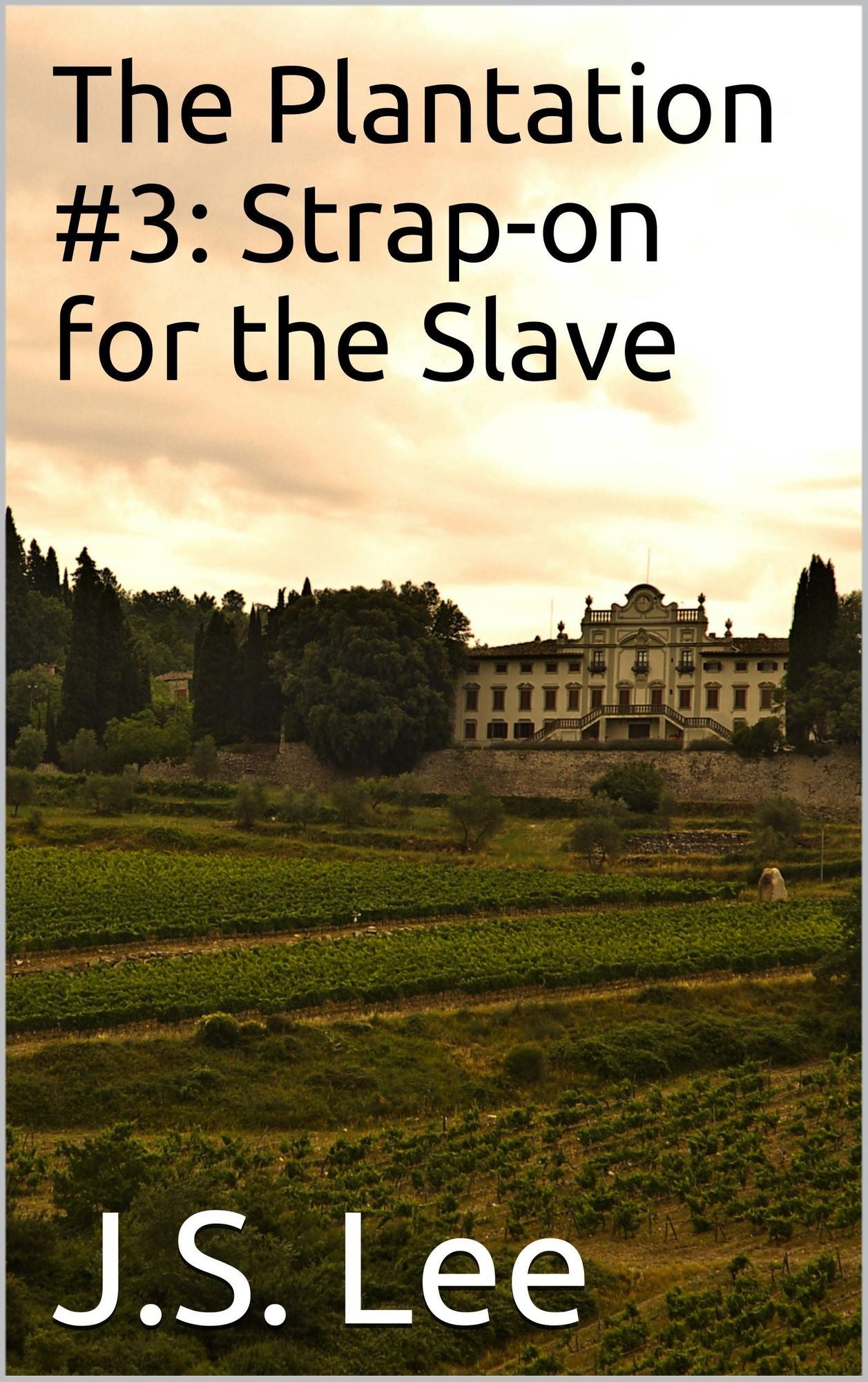The Plantation #3: Strap-on for the Slave
