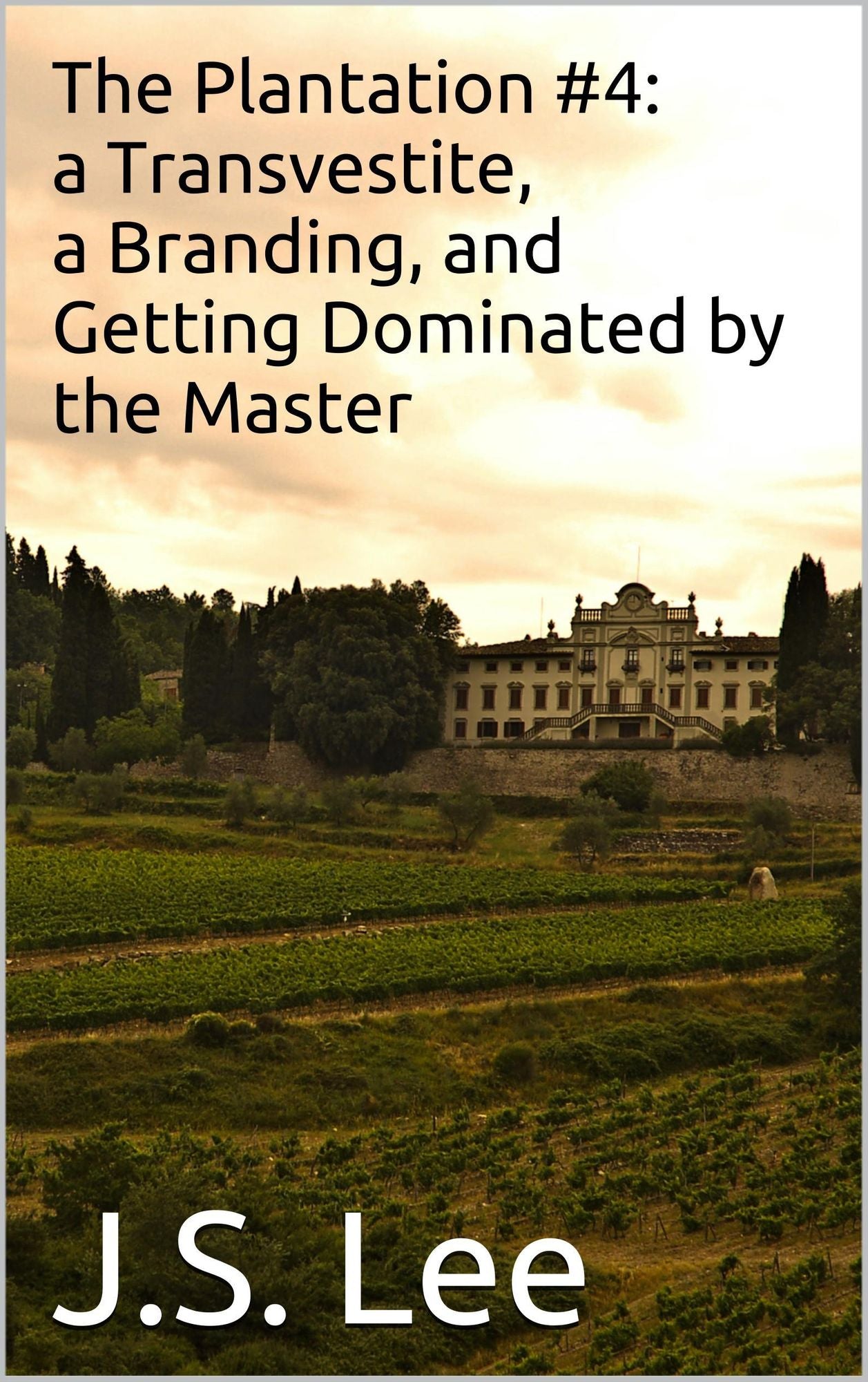 The Plantation #4: a Transvestite, a Branding, and Getting Dominated by the Master