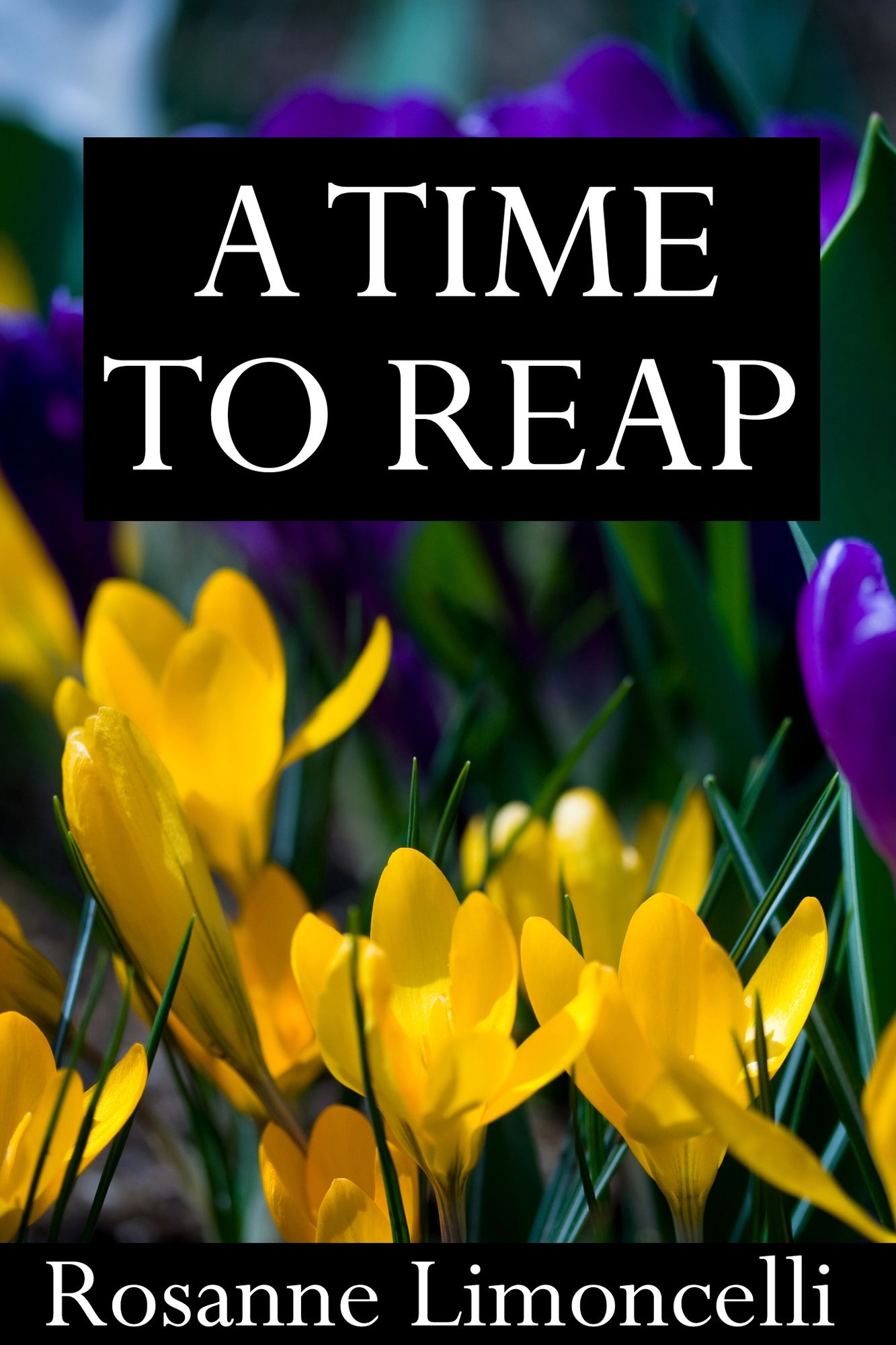 A Time To Reap