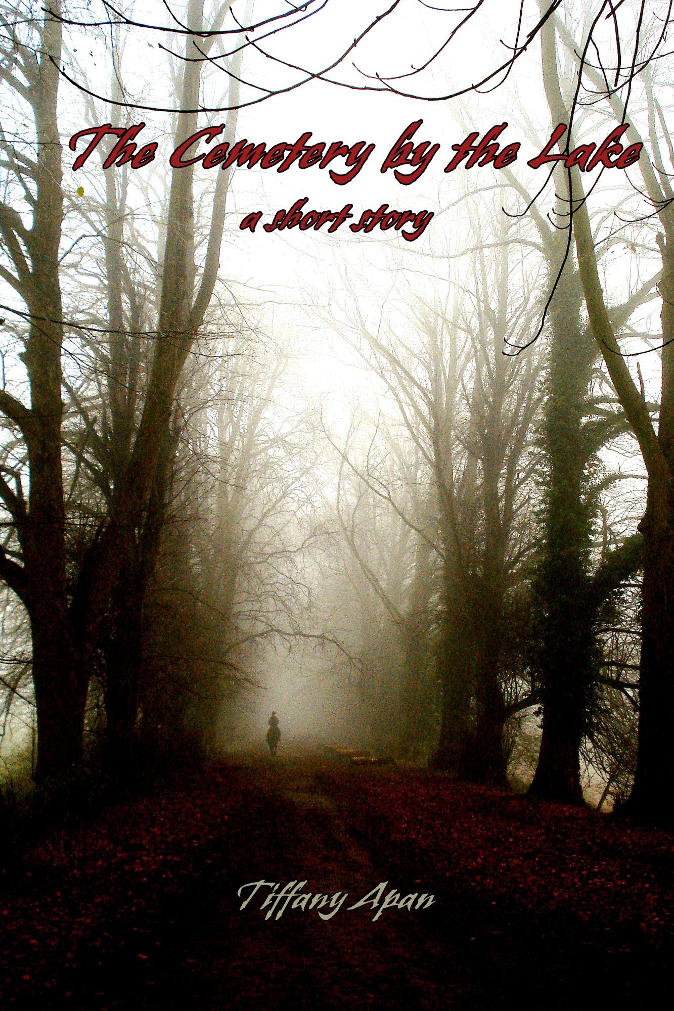 The Cemetery by the Lake (A Short Story-Stories from Colony Drive, #1)