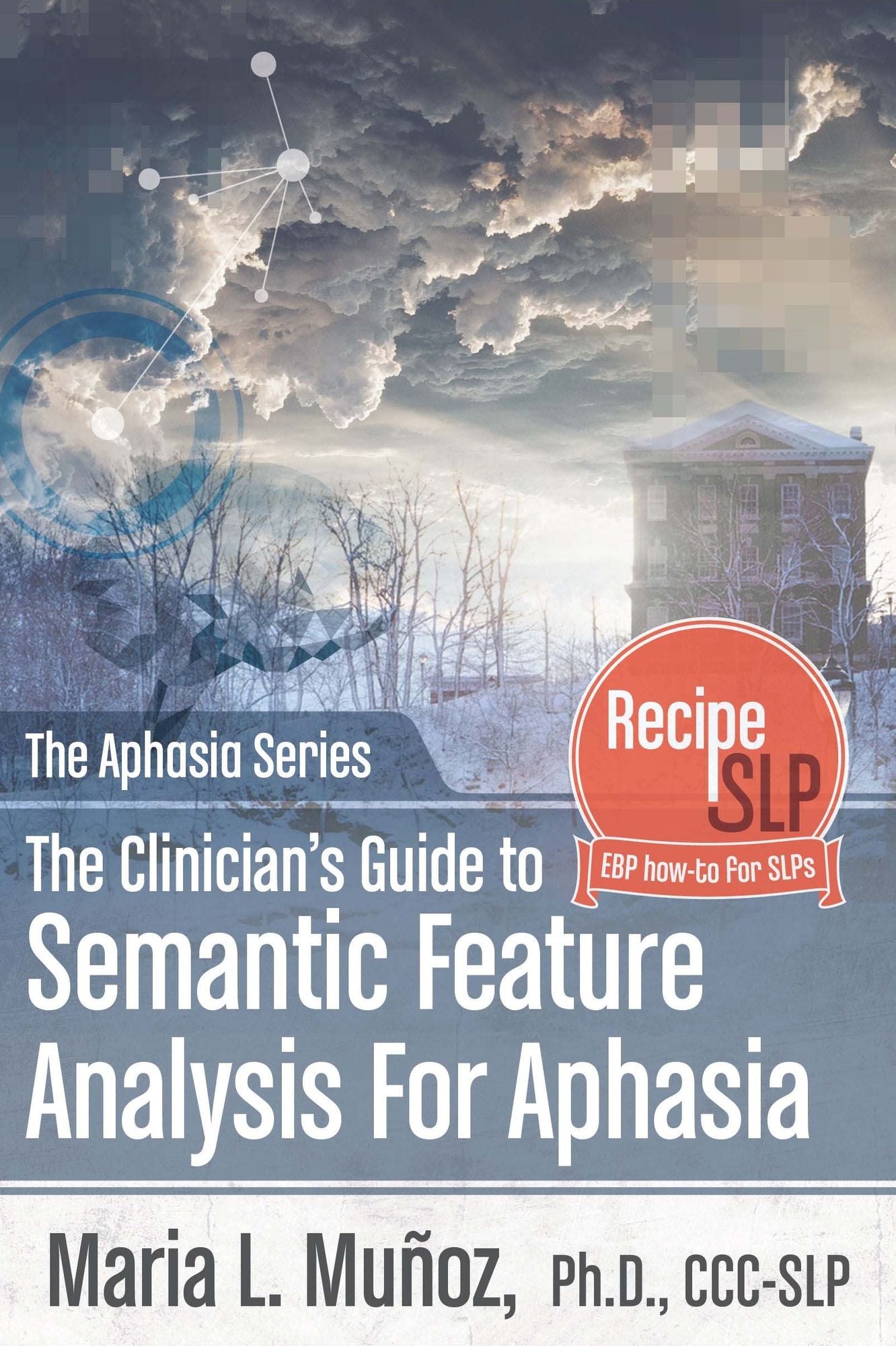 The Clinician's Guide to Semantic Feature Analysis