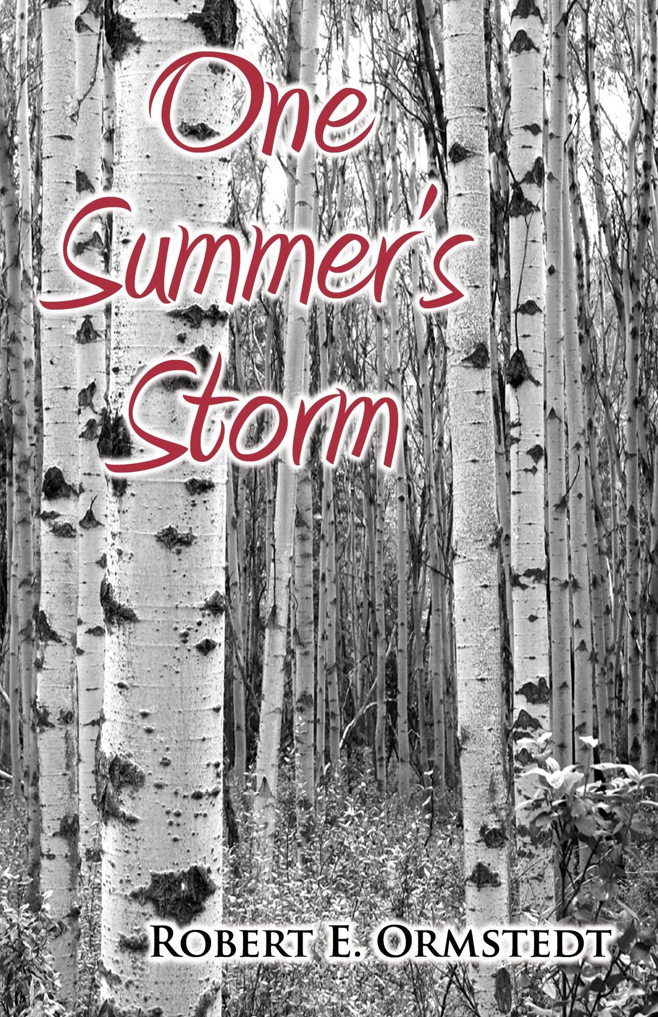 One Summer's Storm