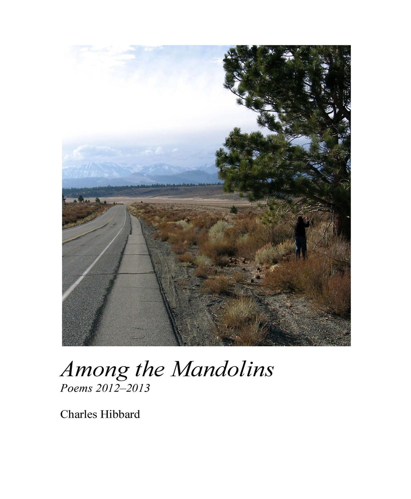 Among the Mandolins