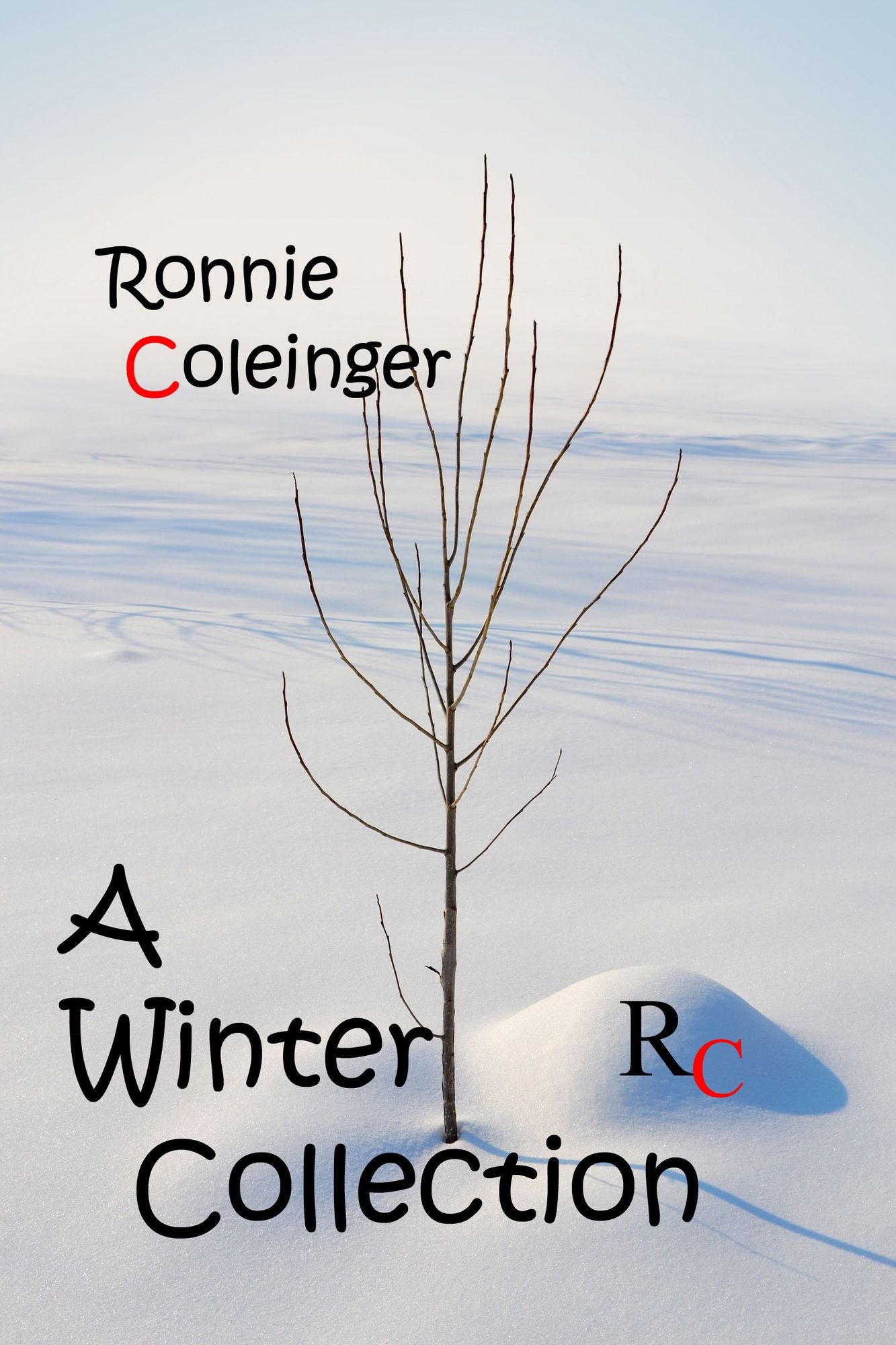 Ronnie Coleinger: A Winter Collection
