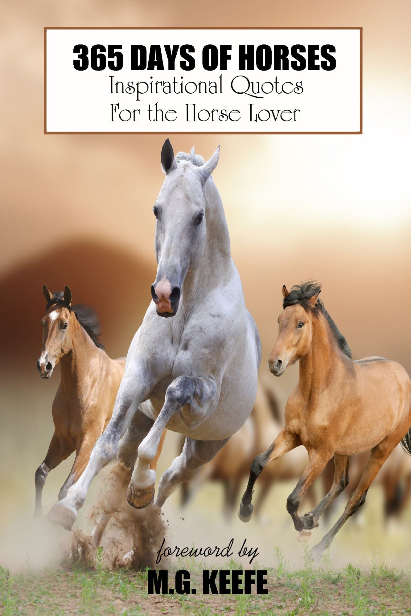 365 Days of Horses: Inspirational Quotes for the Horse Lover