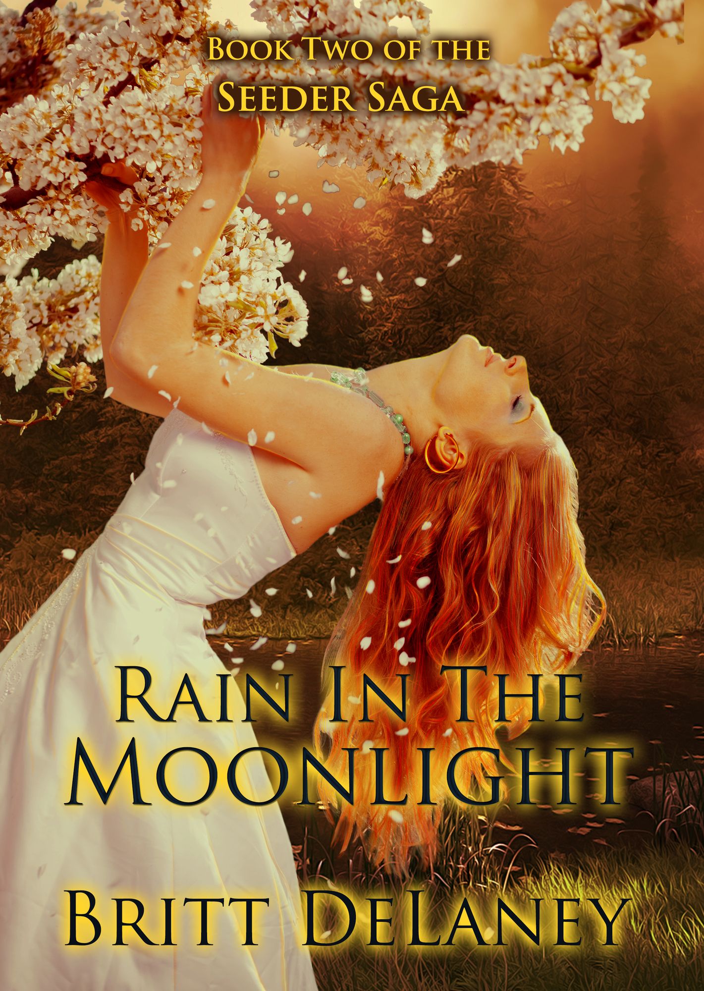 Rain In The Moonlight: Book Two of the Seeder Saga