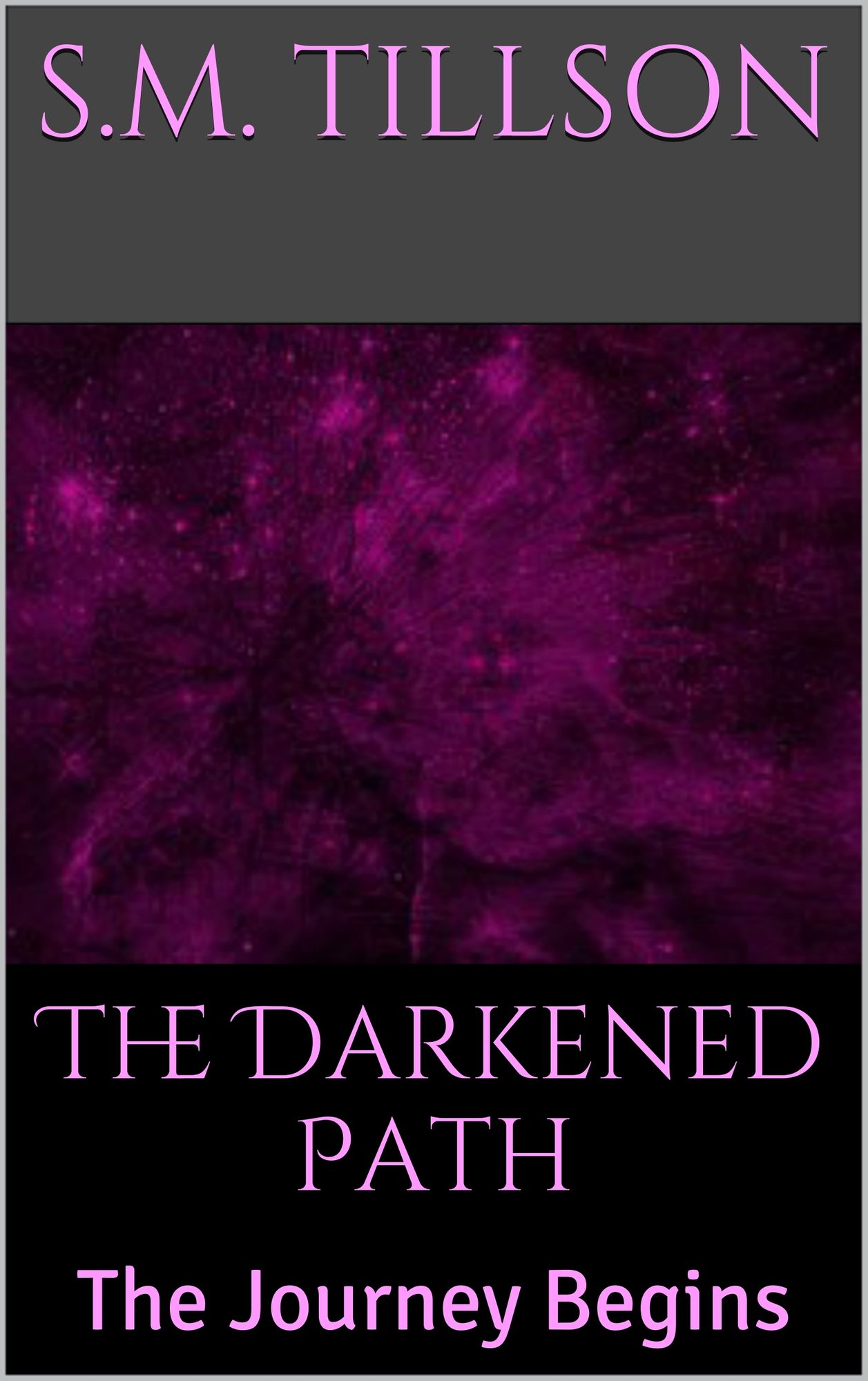 The Darkened Path, Book 1: The Journey Begins