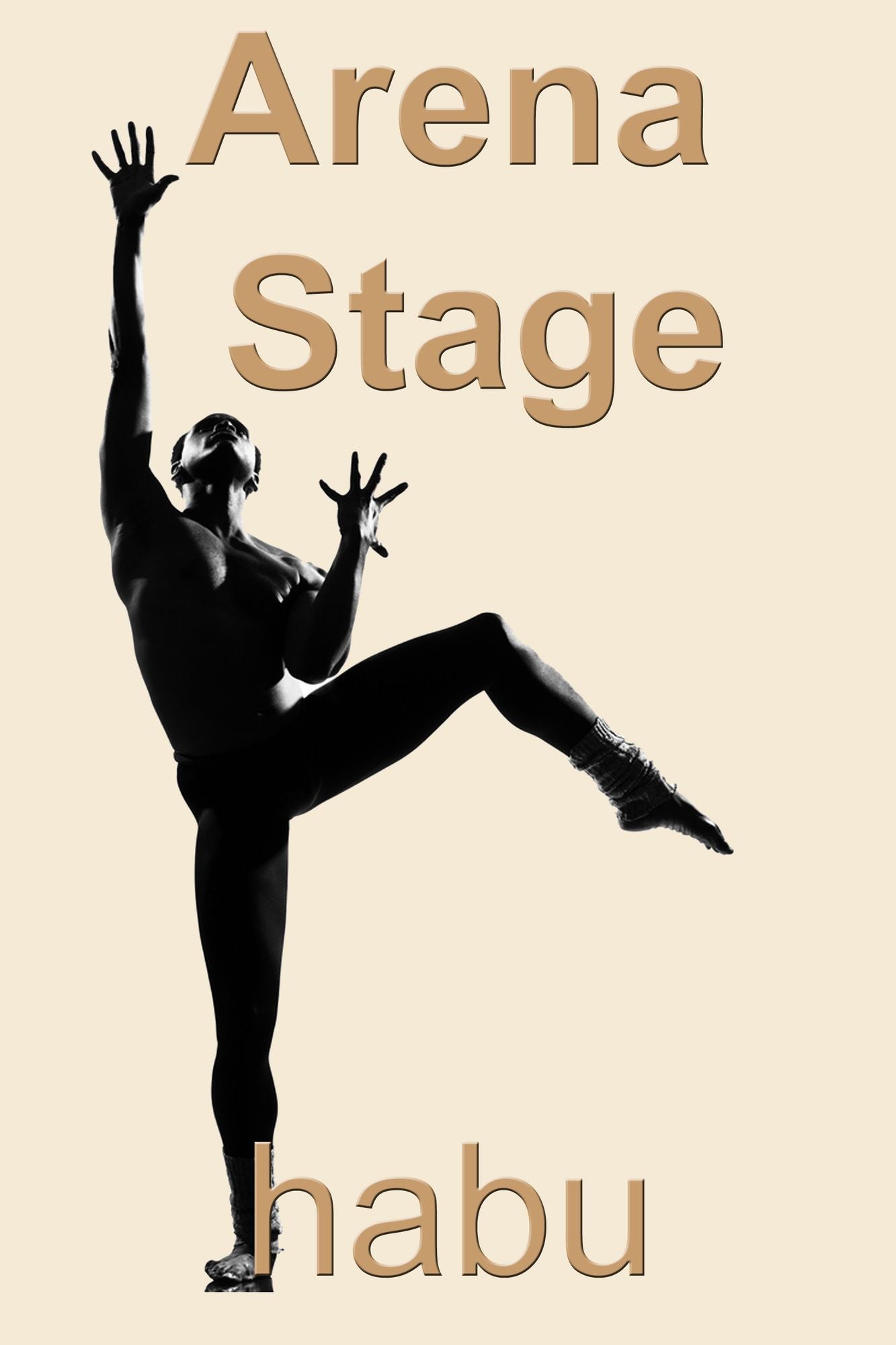 Arena Stage (A Gay Erotic Romance)
