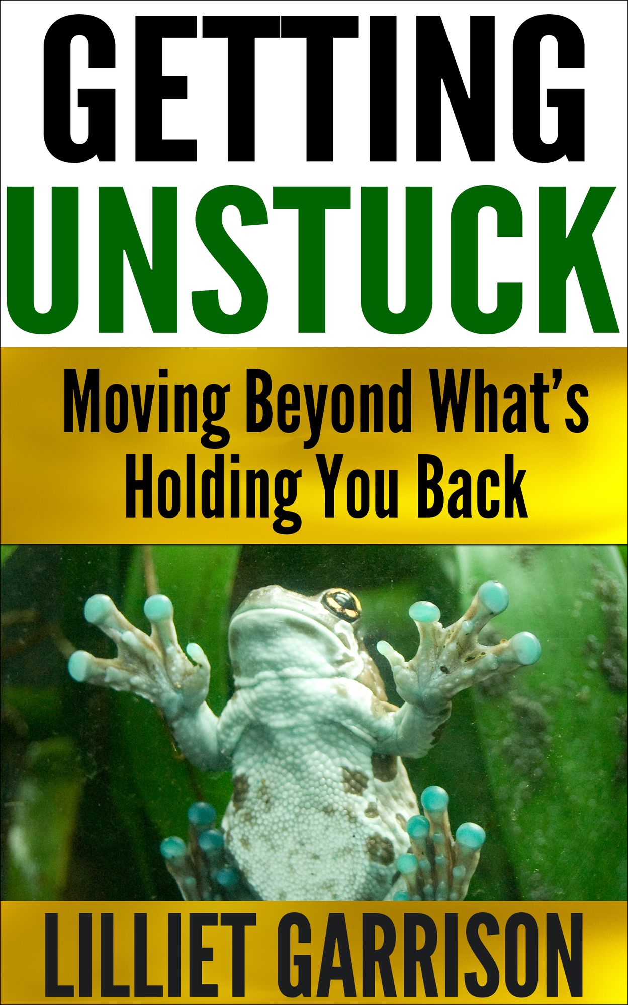 "Getting Unstuck, Moving Beyond What's Holding You Back"