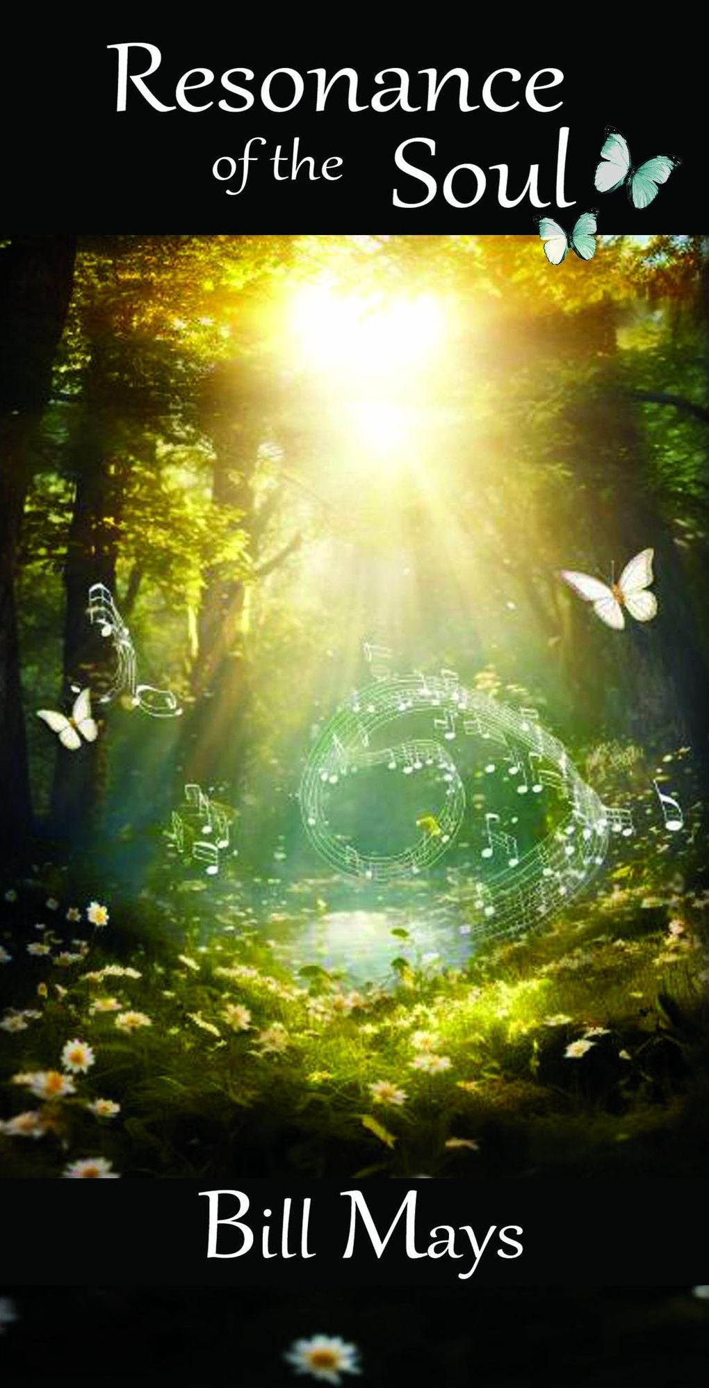 Resonance of the Soul