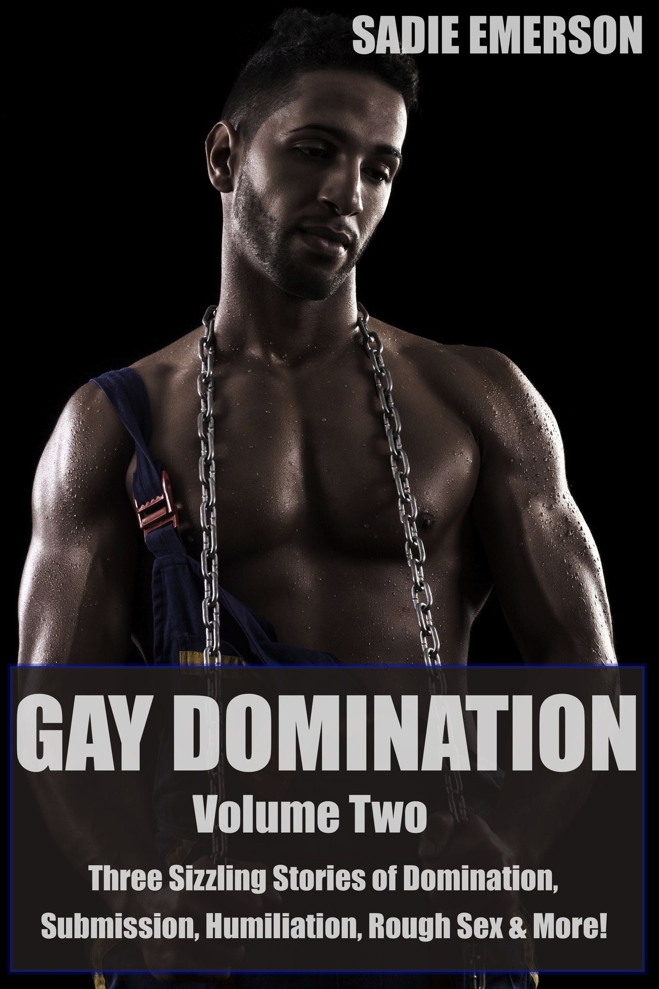 Gay Domination: Volume Two