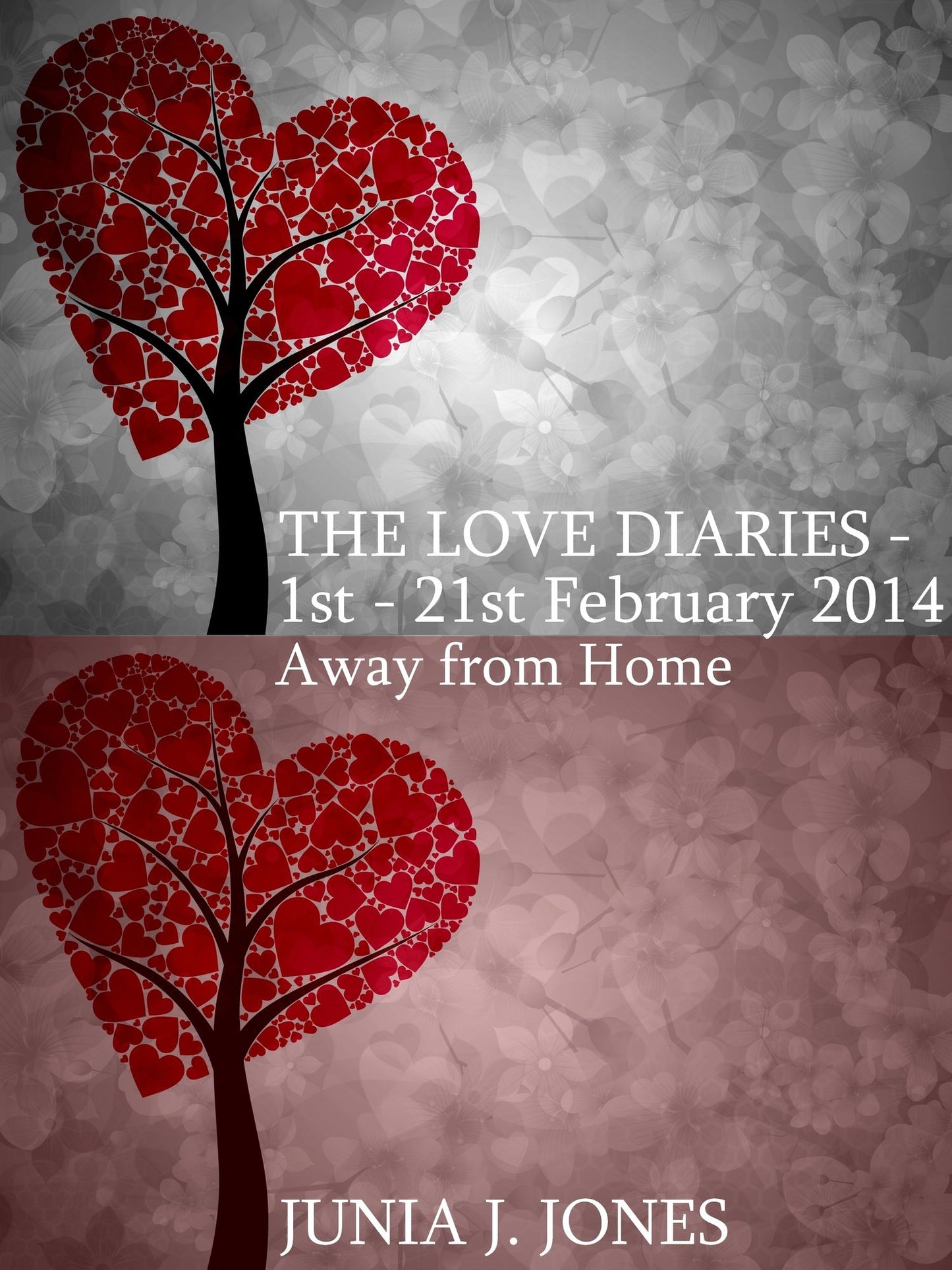 The Love Diaries: 1st - 21st February 2014 Away from Home