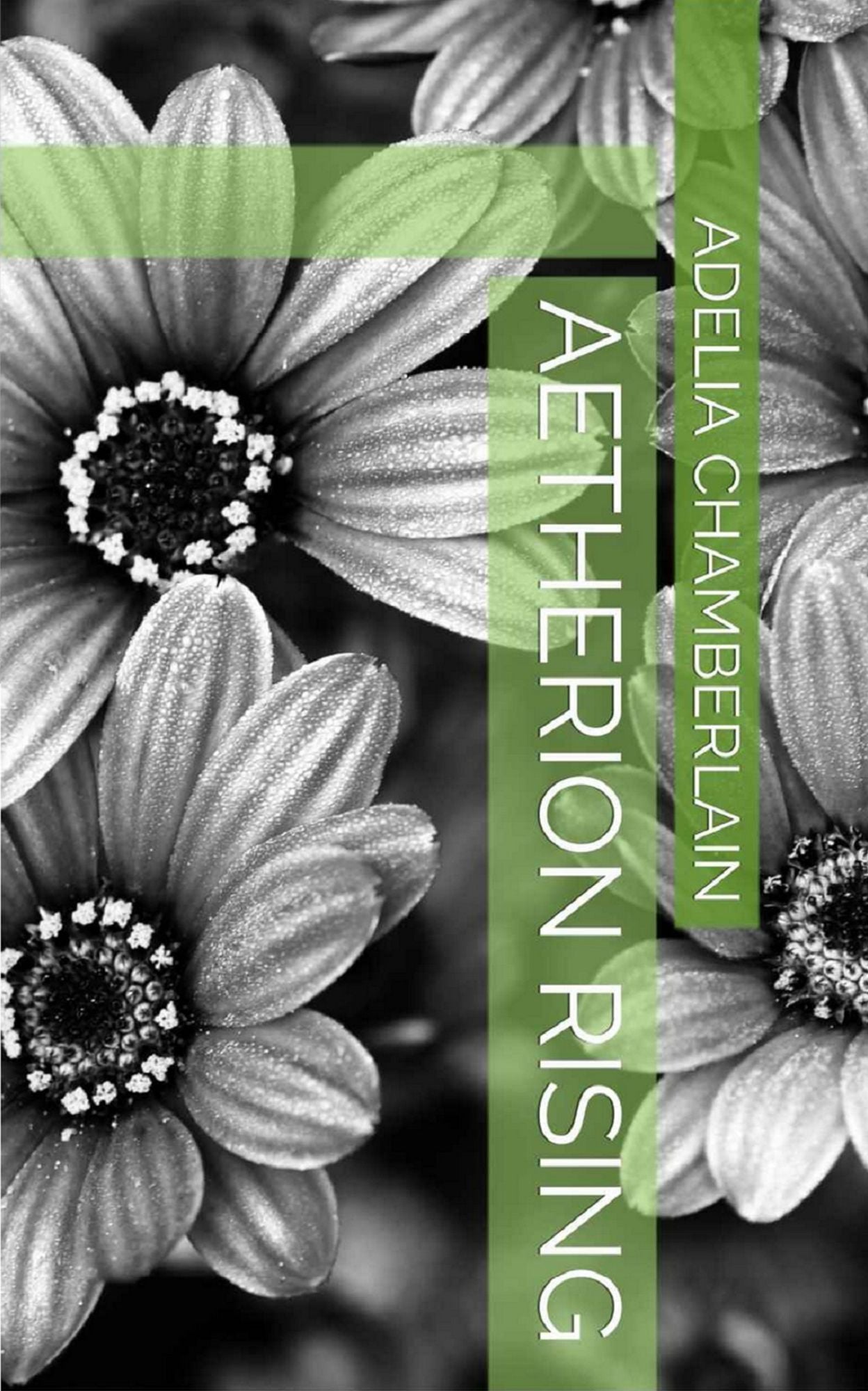 Aetherion Rising