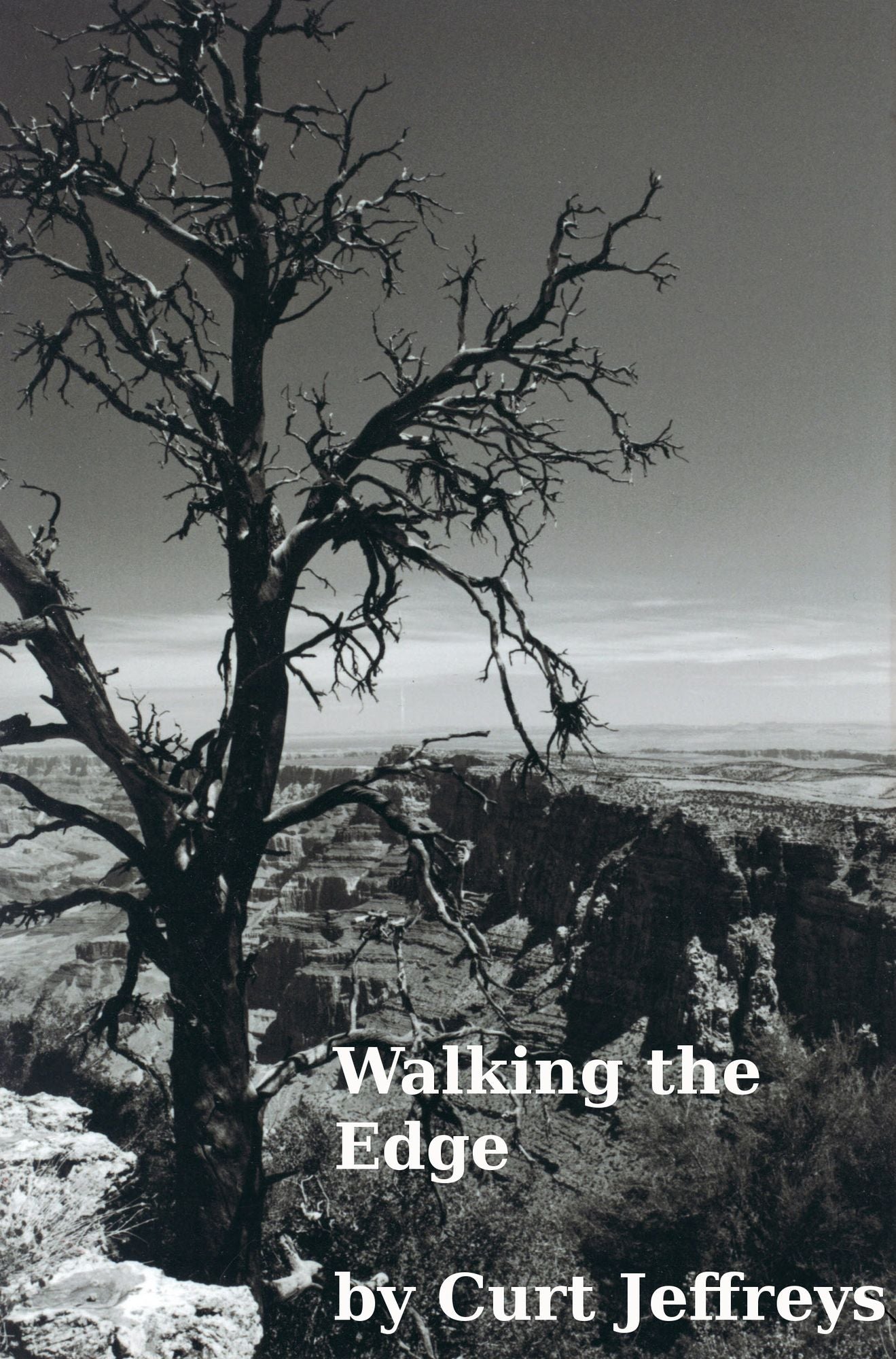Walking the Edge