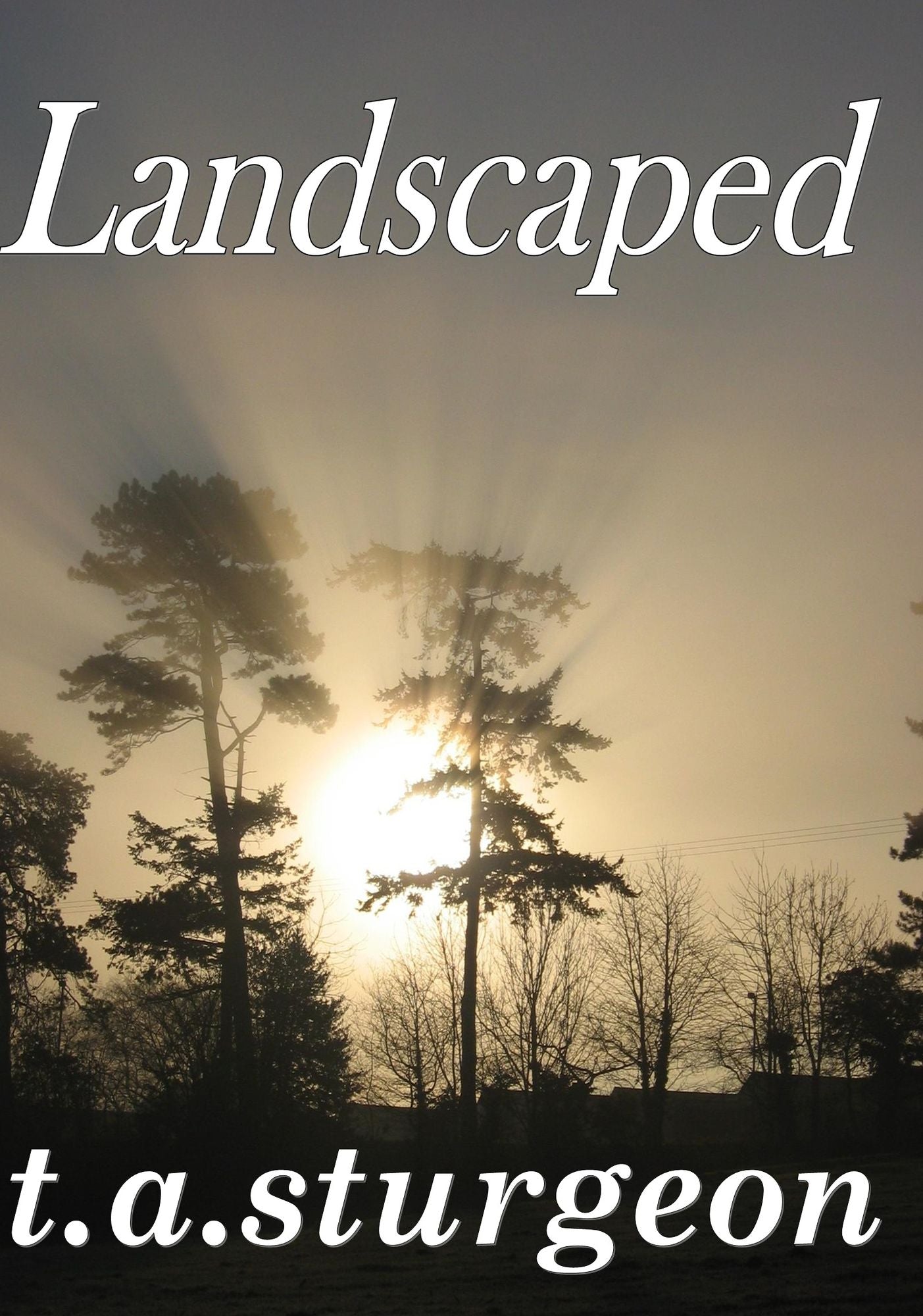 Landscaped