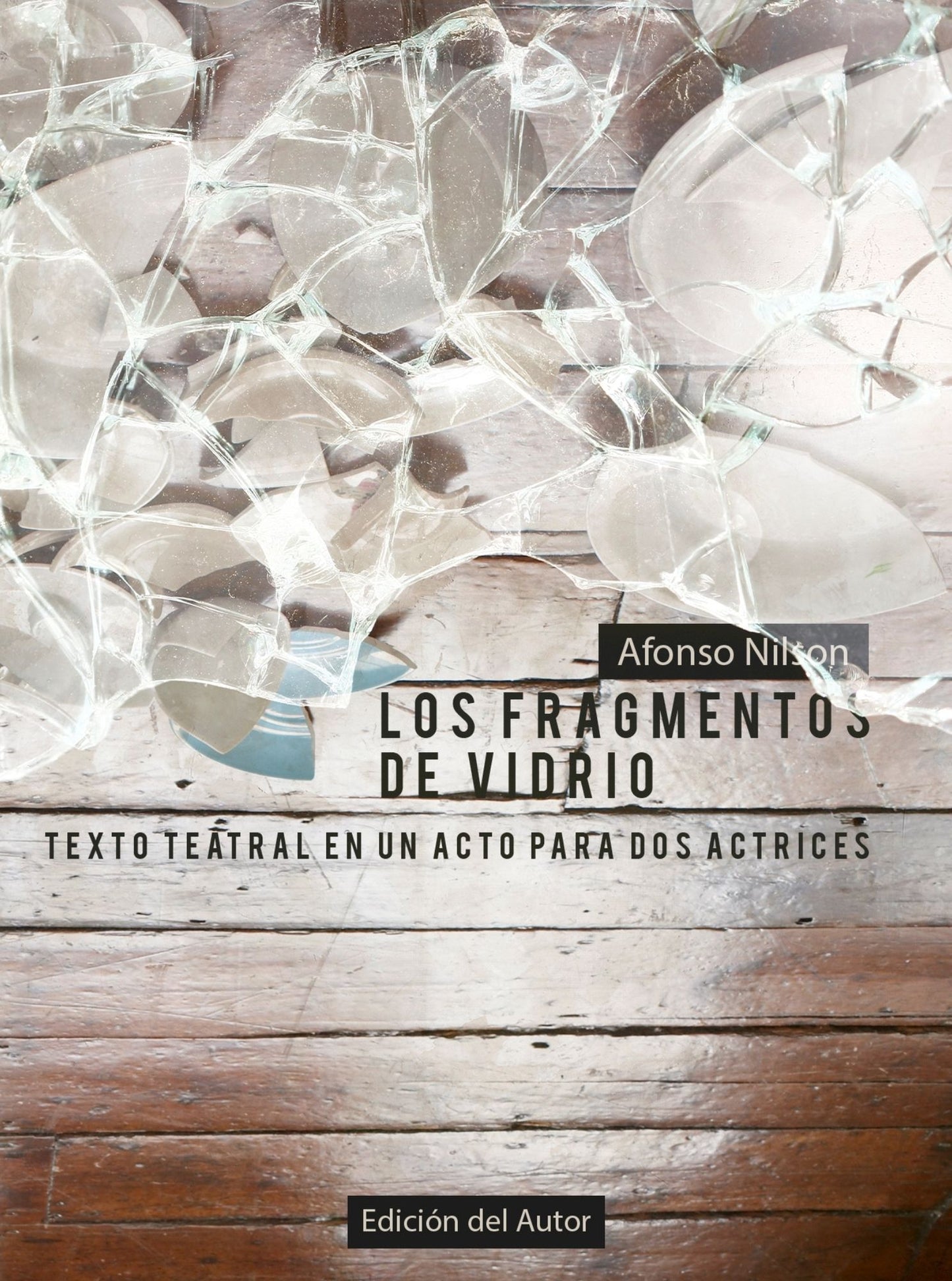 Los Fragmentos de Vidrio