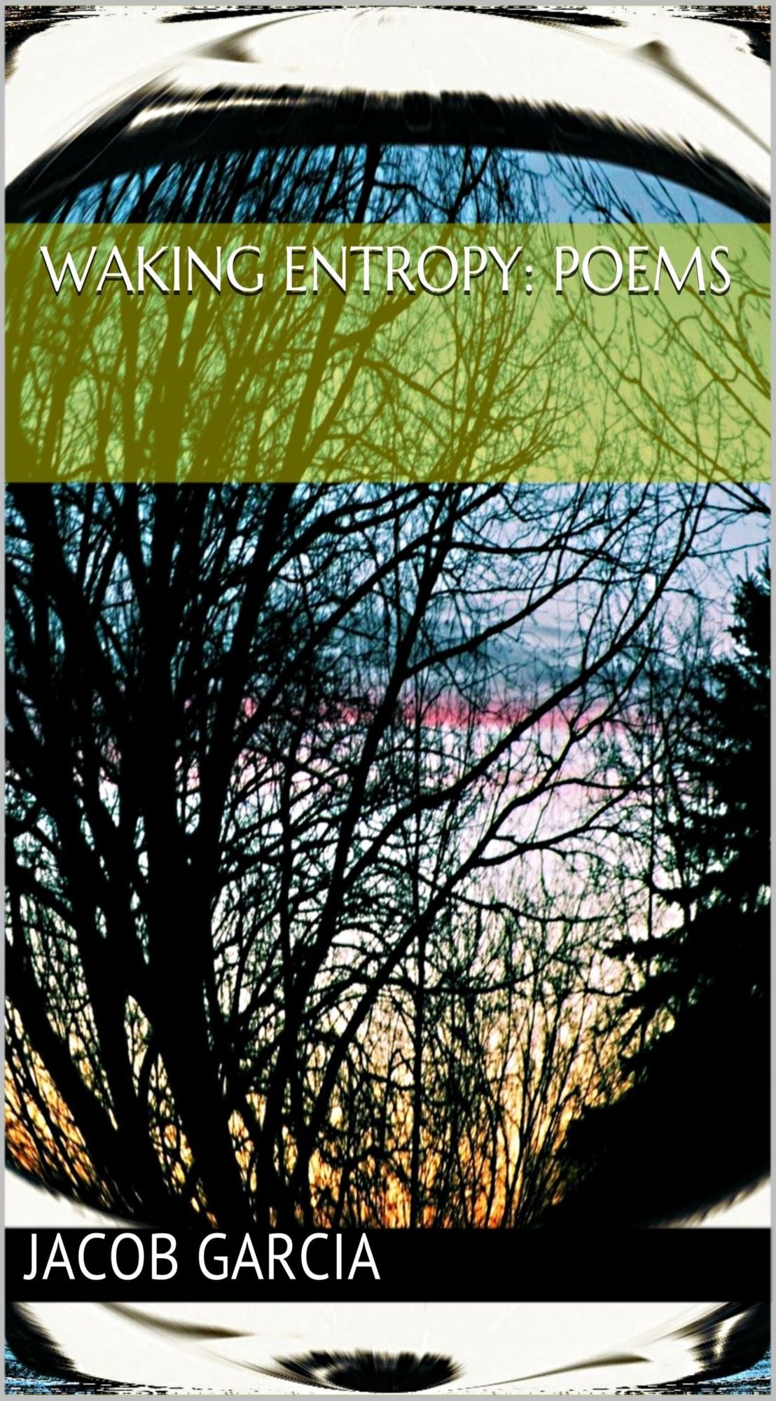 Waking Entropy: Poems