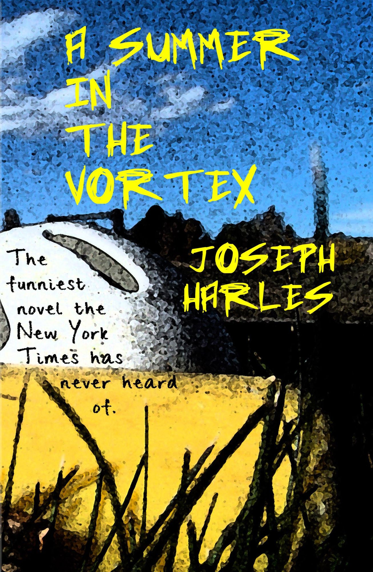A Summer In The Vortex