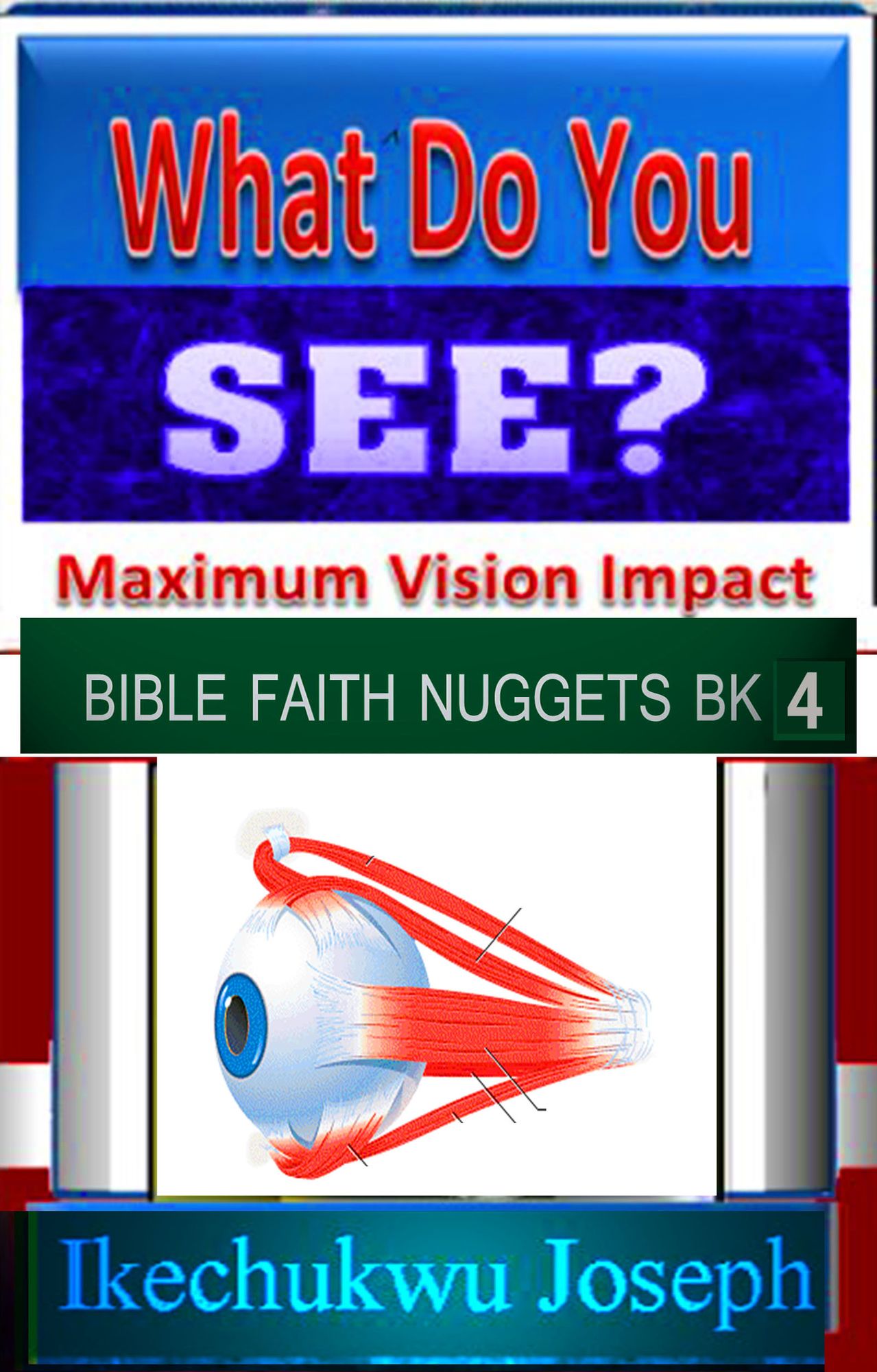 What Do You See (Maximum Vision Impact)