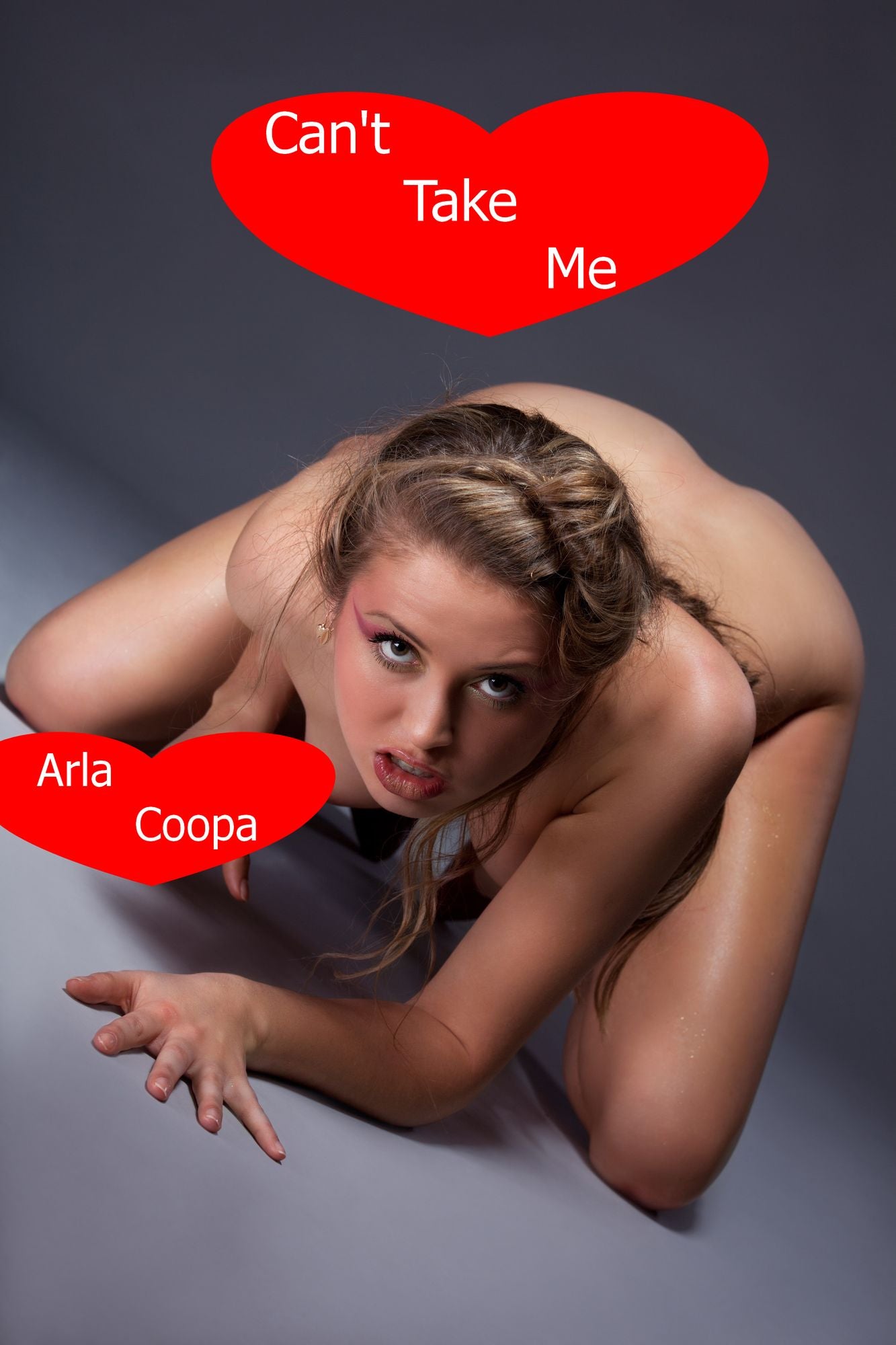 Can't Take Me: A Wives Gone Crazy Story
