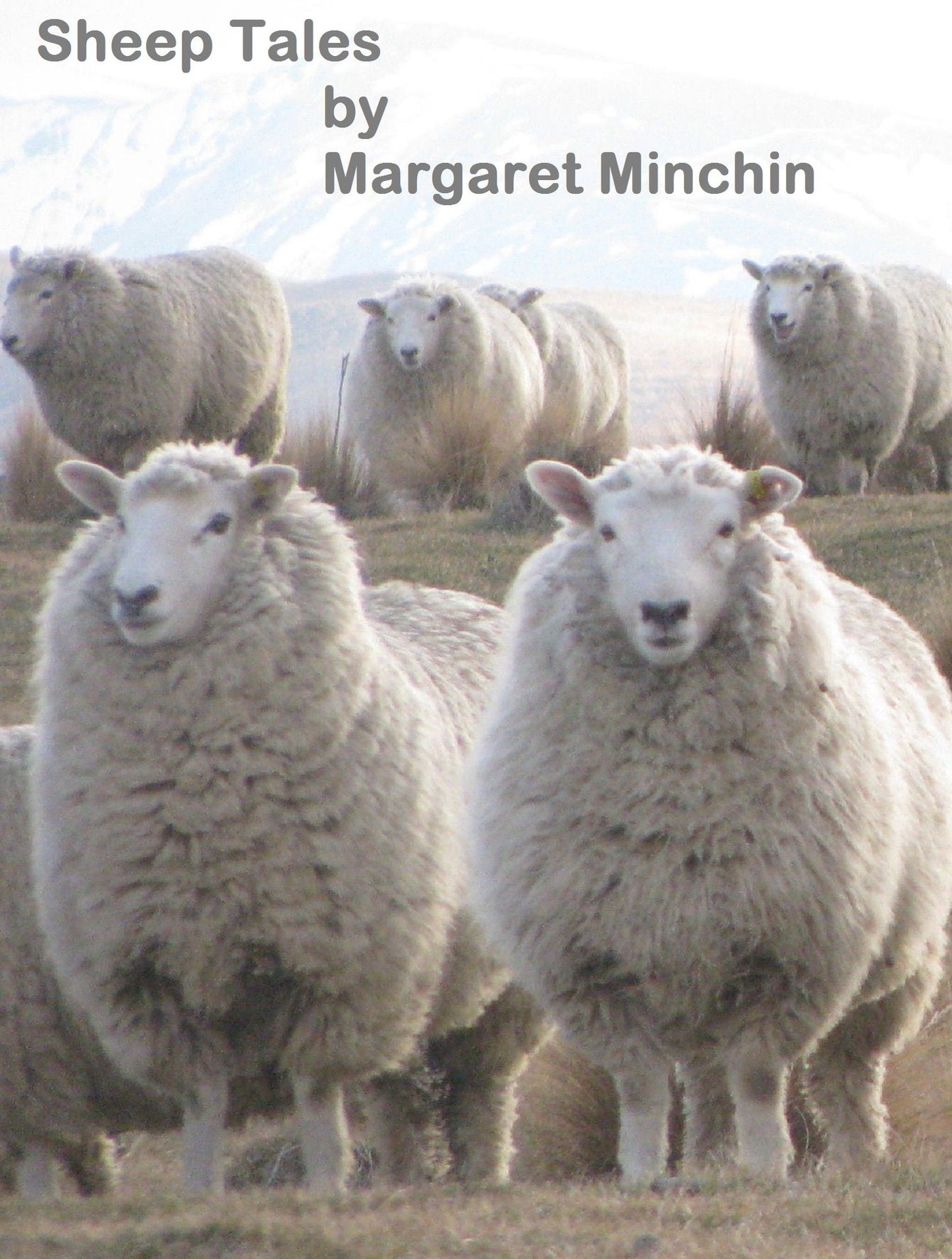 Sheep Tales