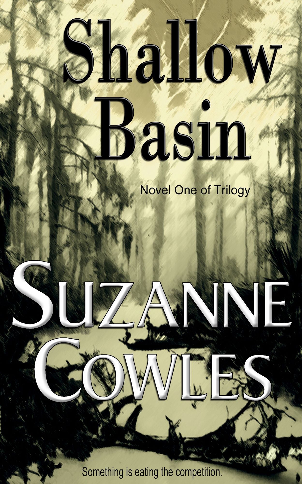 Shallow Basin
