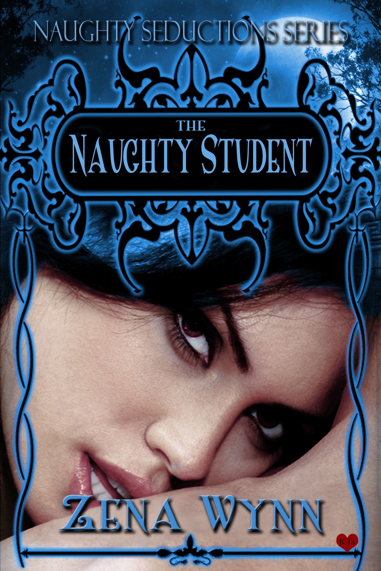 Naughty Seductions: The Naughty Student