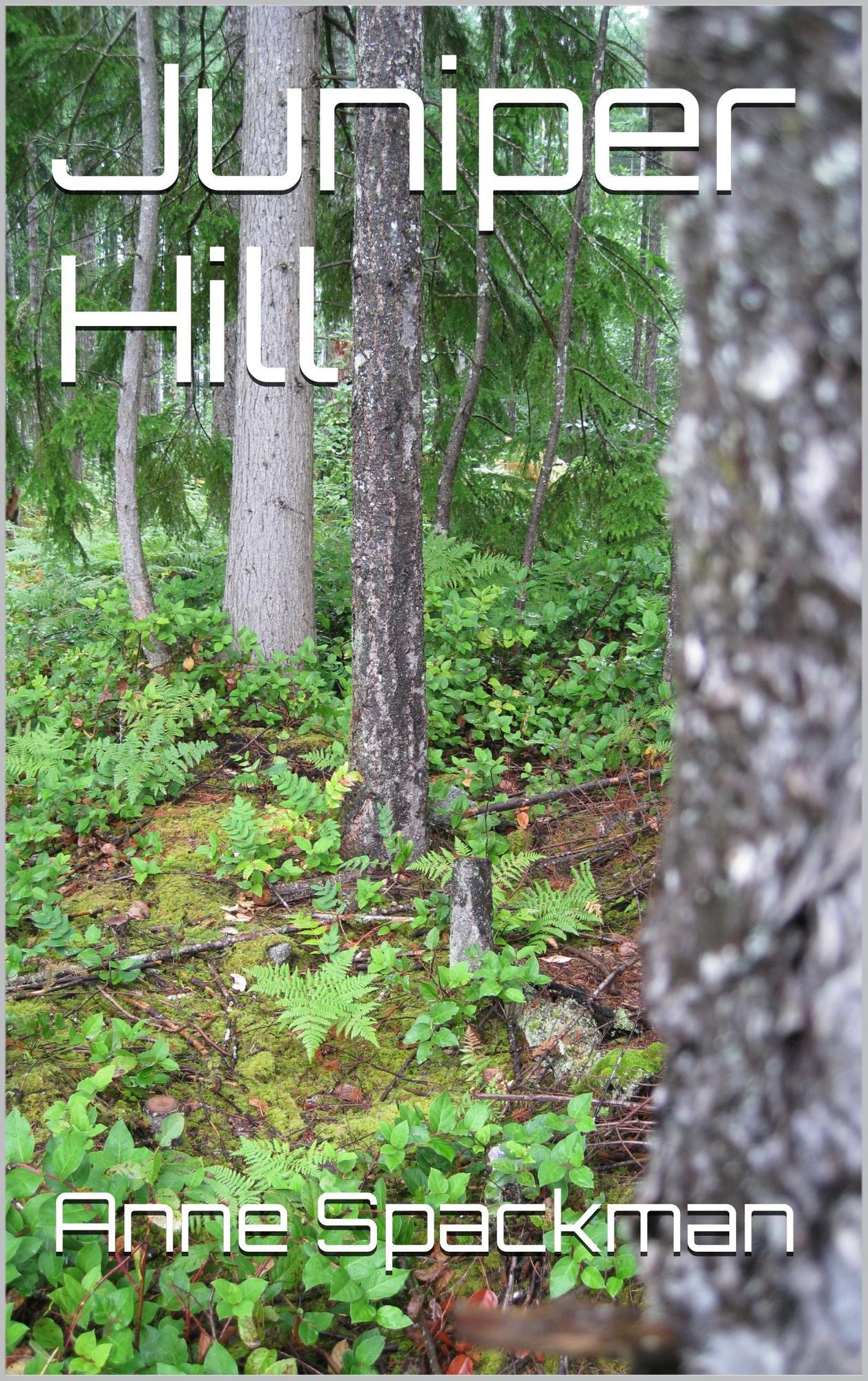 Juniper Hill
