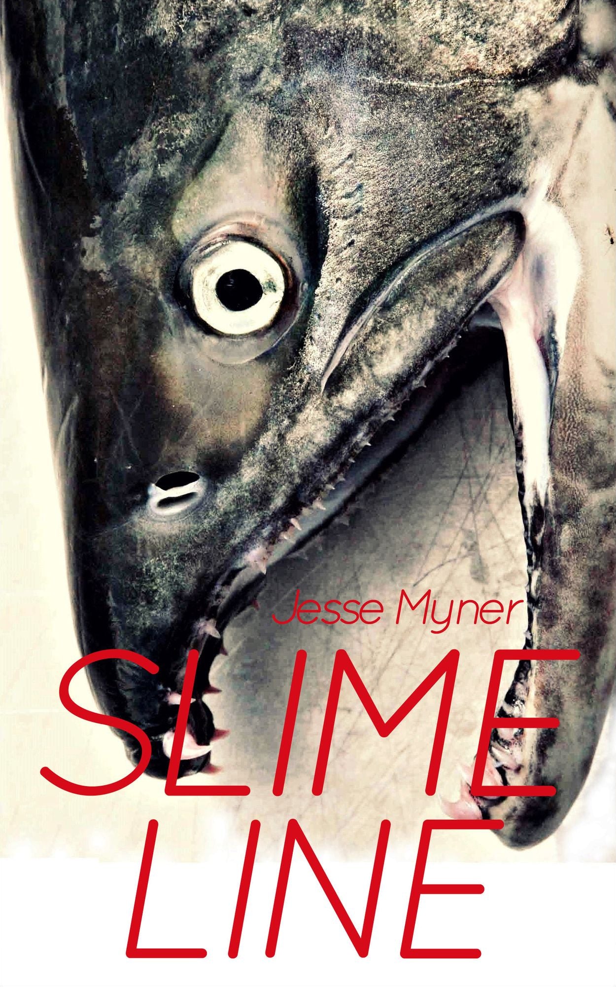 Slime Line: Adventures In Fish Processing