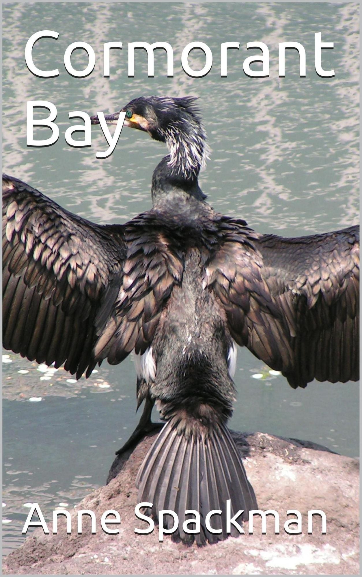 Cormorant Bay