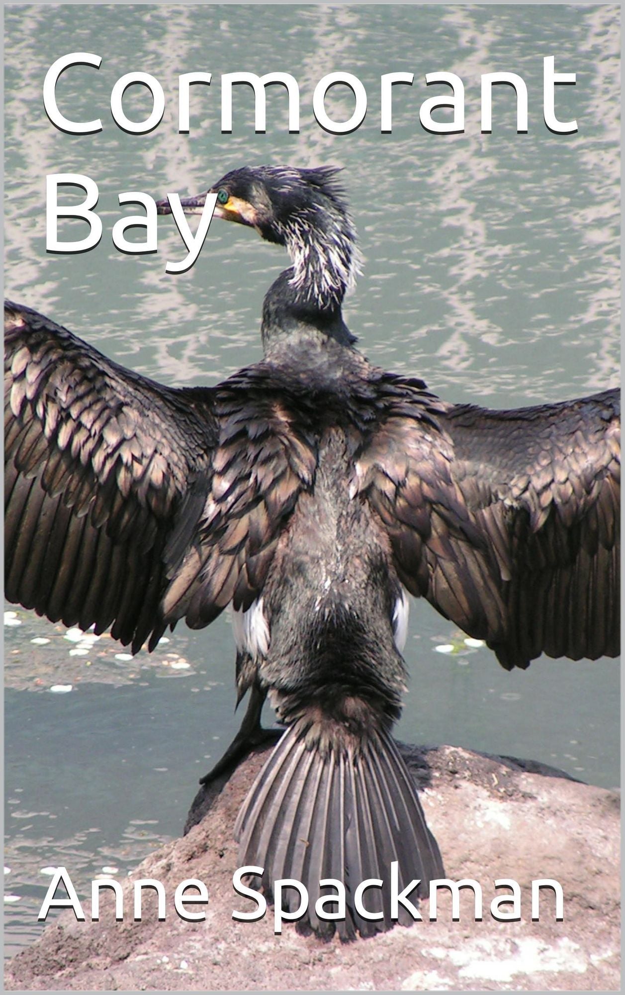 Cormorant Bay