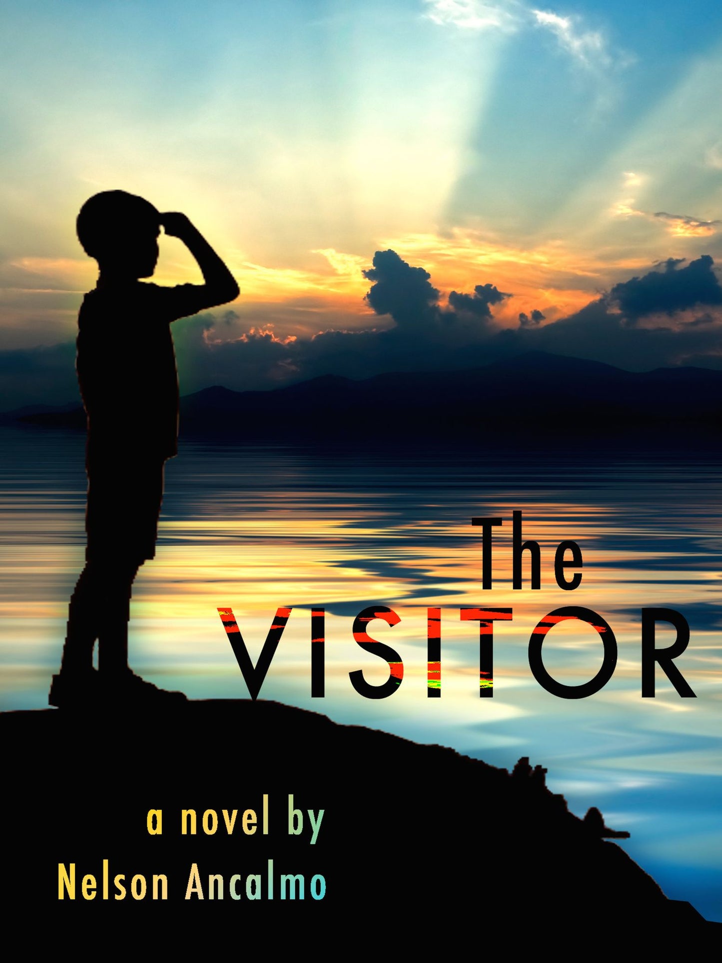 The Visitor
