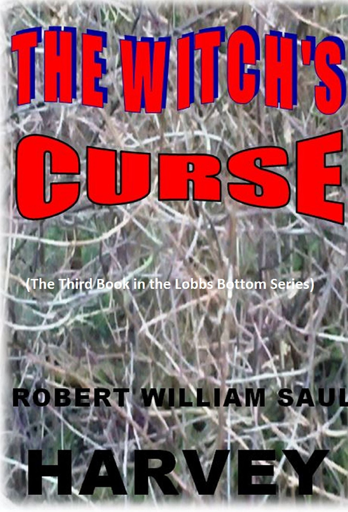 The Witch's Curse: The Third Book in the Lobbs Bottom Series