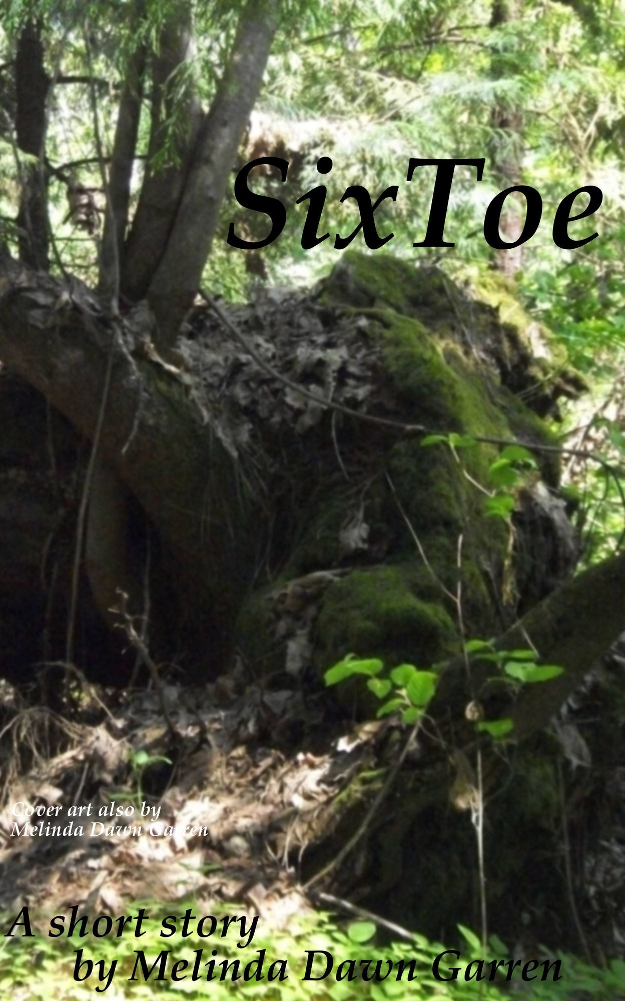 SixToe