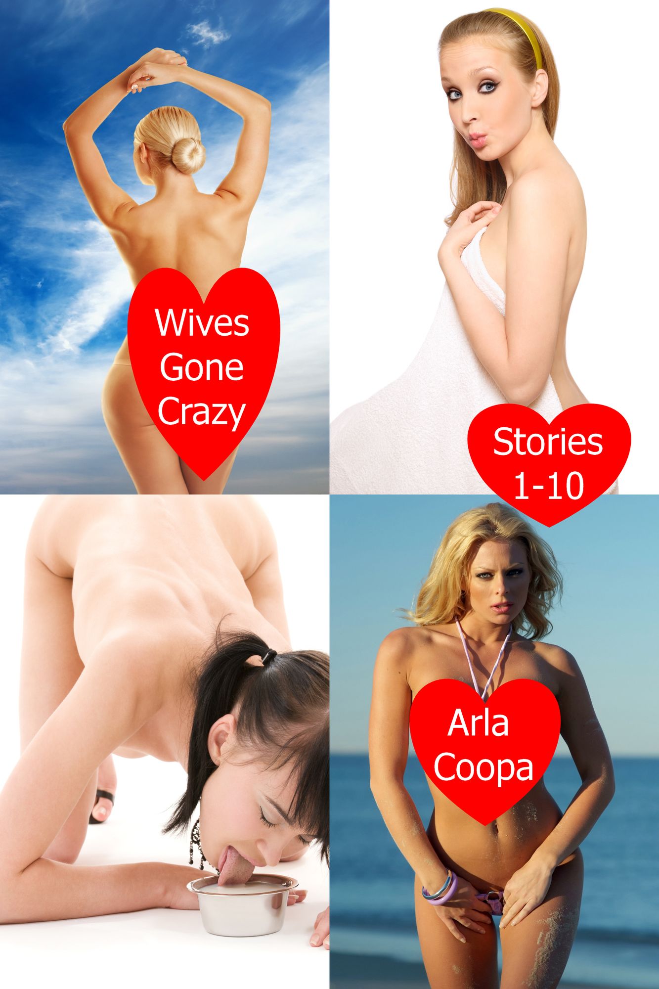 Wives Gone Crazy: Stories 1-10