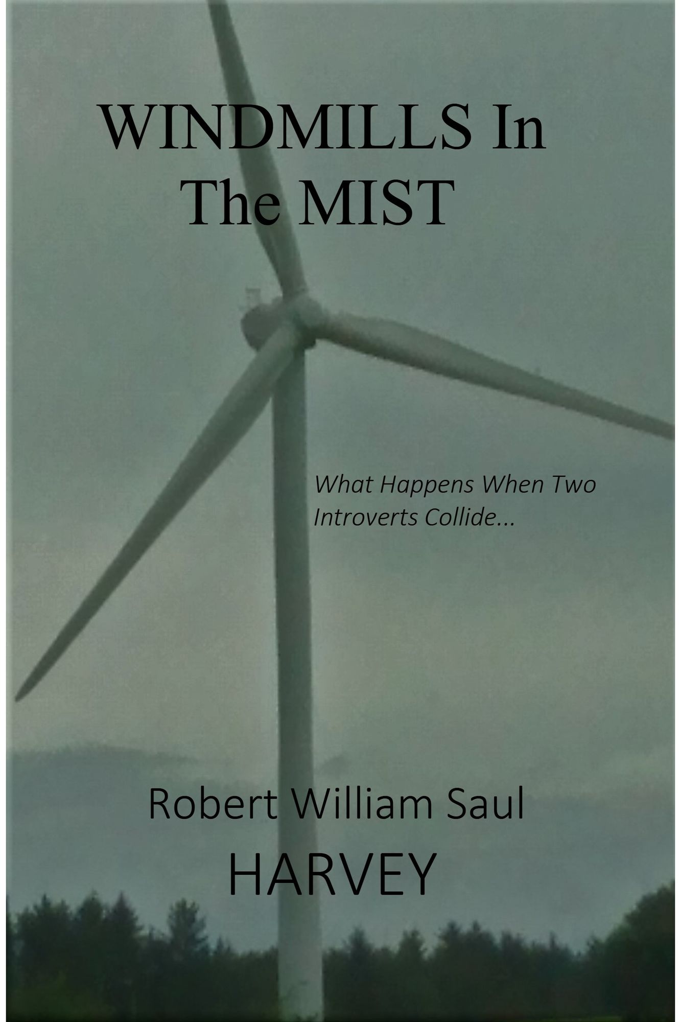 Windmills in the Mist: What happens when two introverts collide?