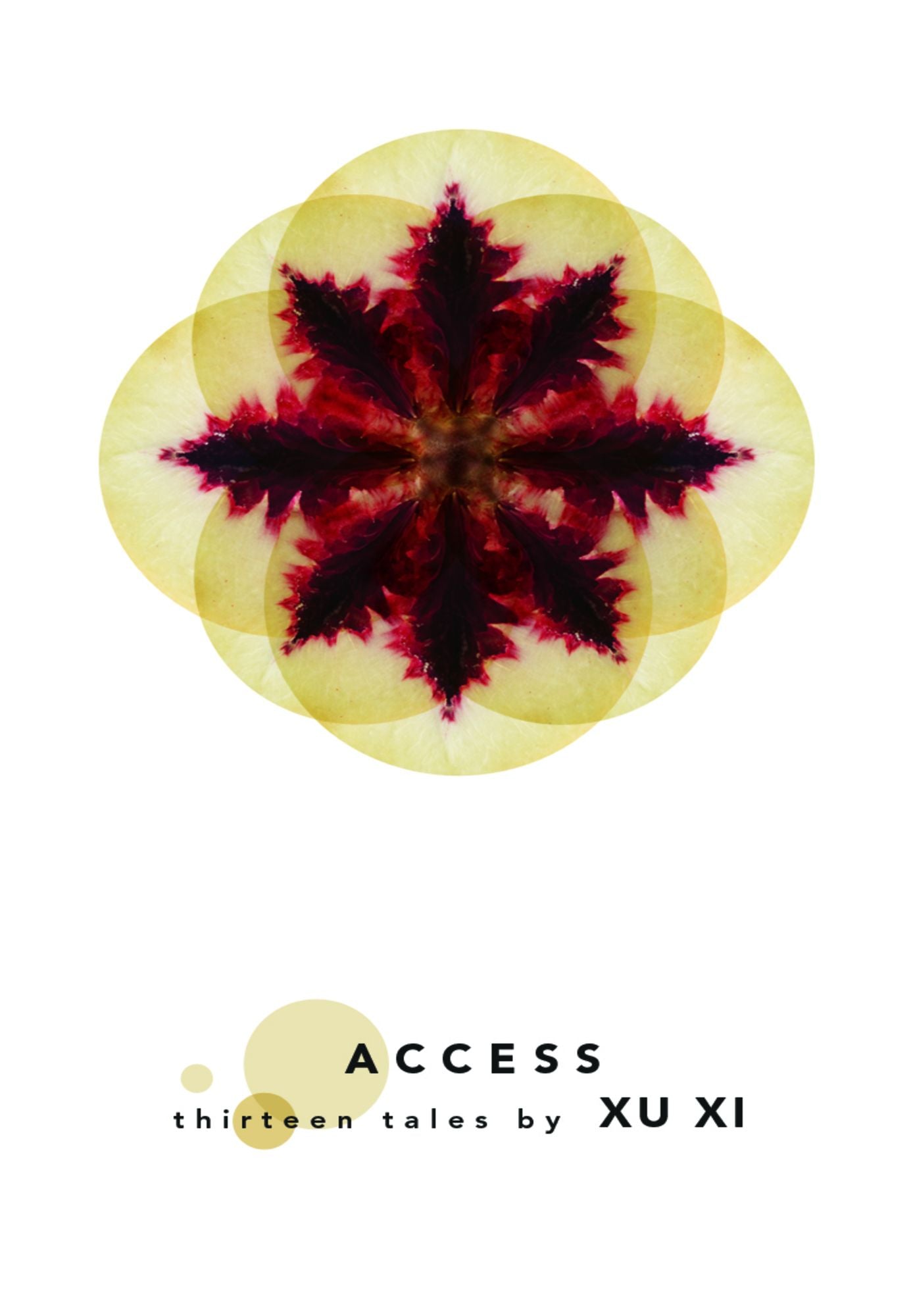 Access: Thirteen Tales