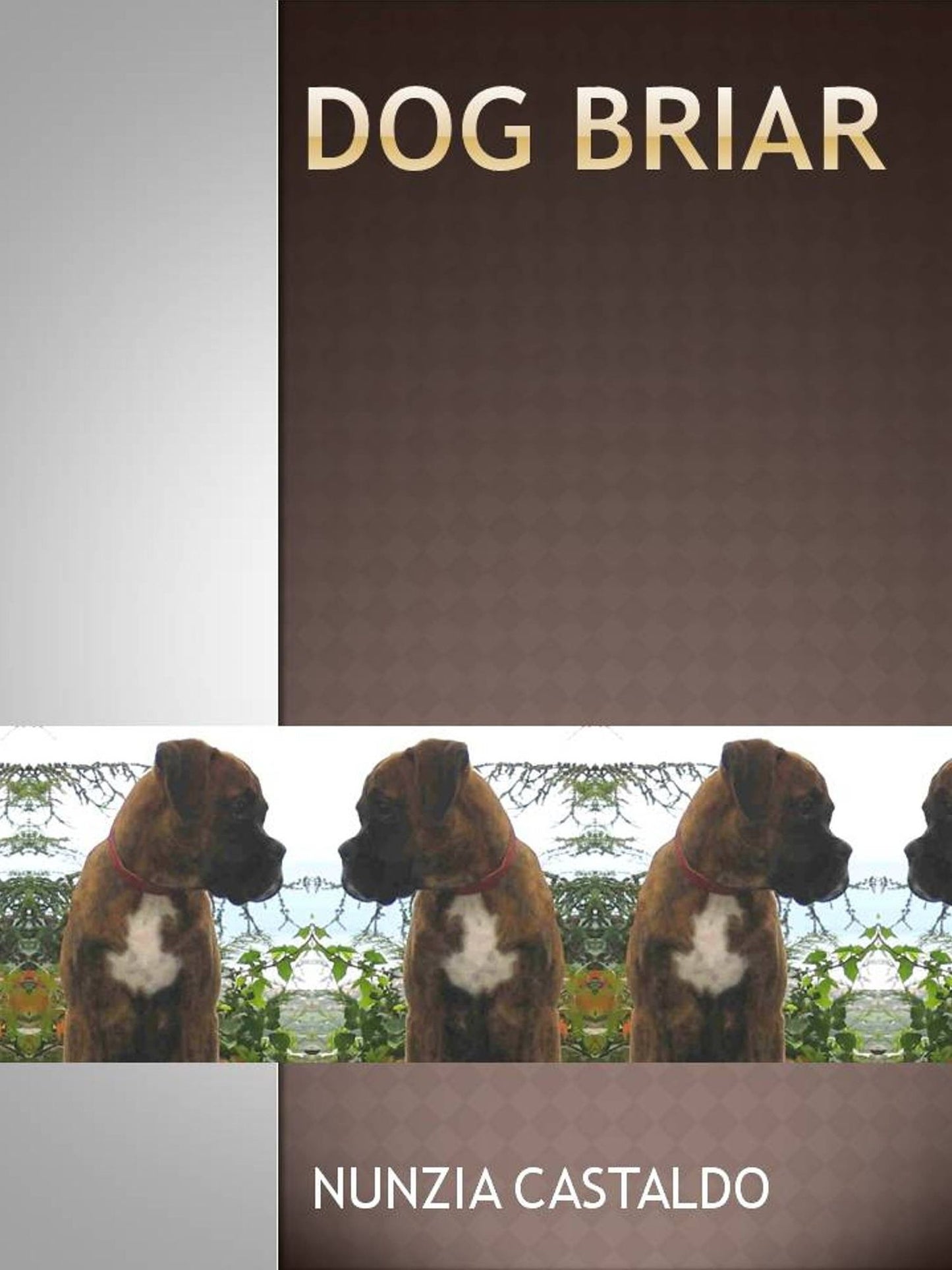 Dog Briar