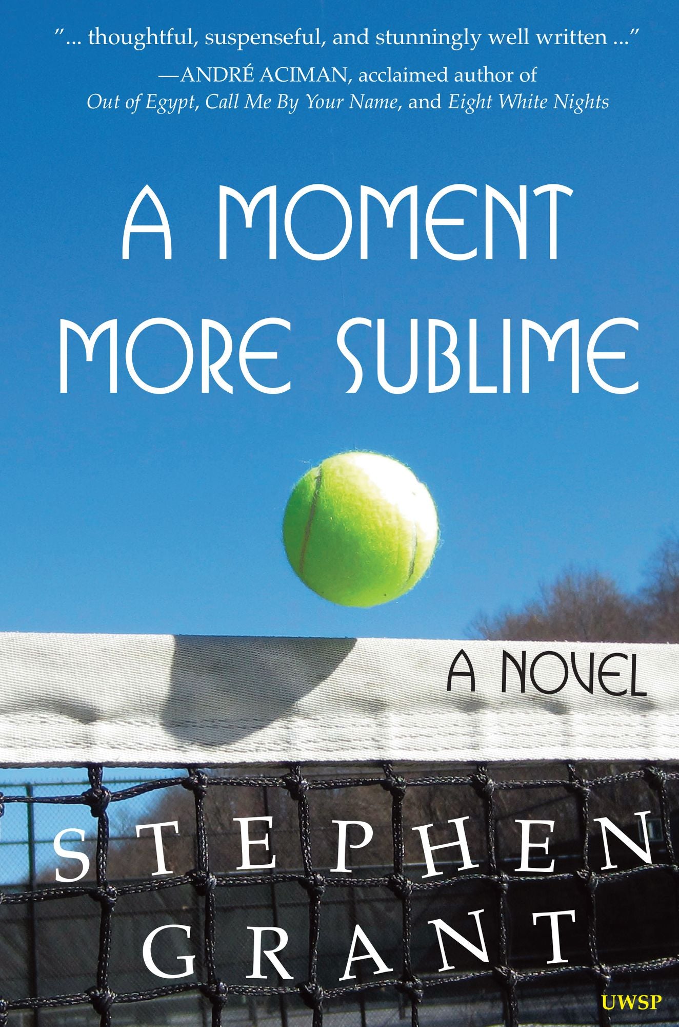 A Moment More Sublime: A Novel (Winner of the 2015 Independent Publisher Book Award for Contemporary Fiction)