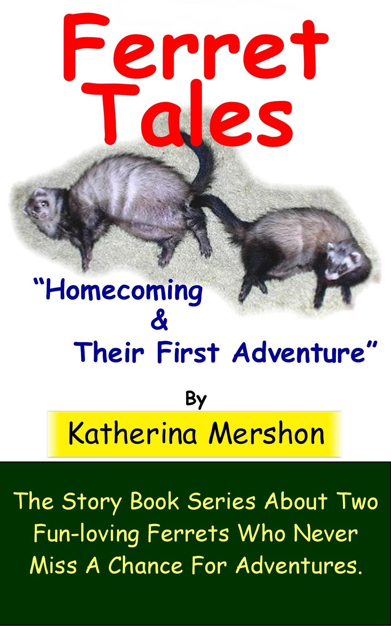 Ferret Tales: Story Book 1